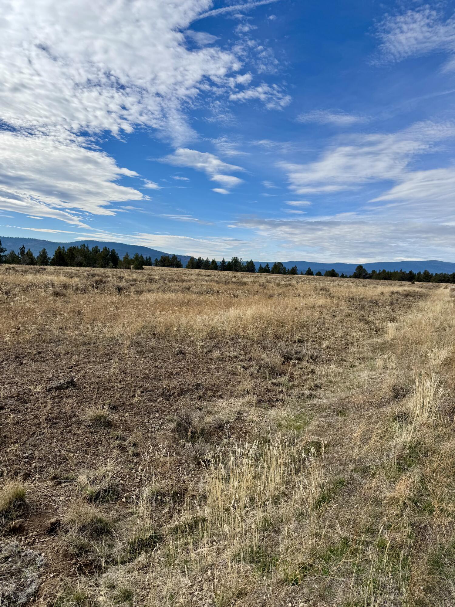 Nimrod River Park - Land