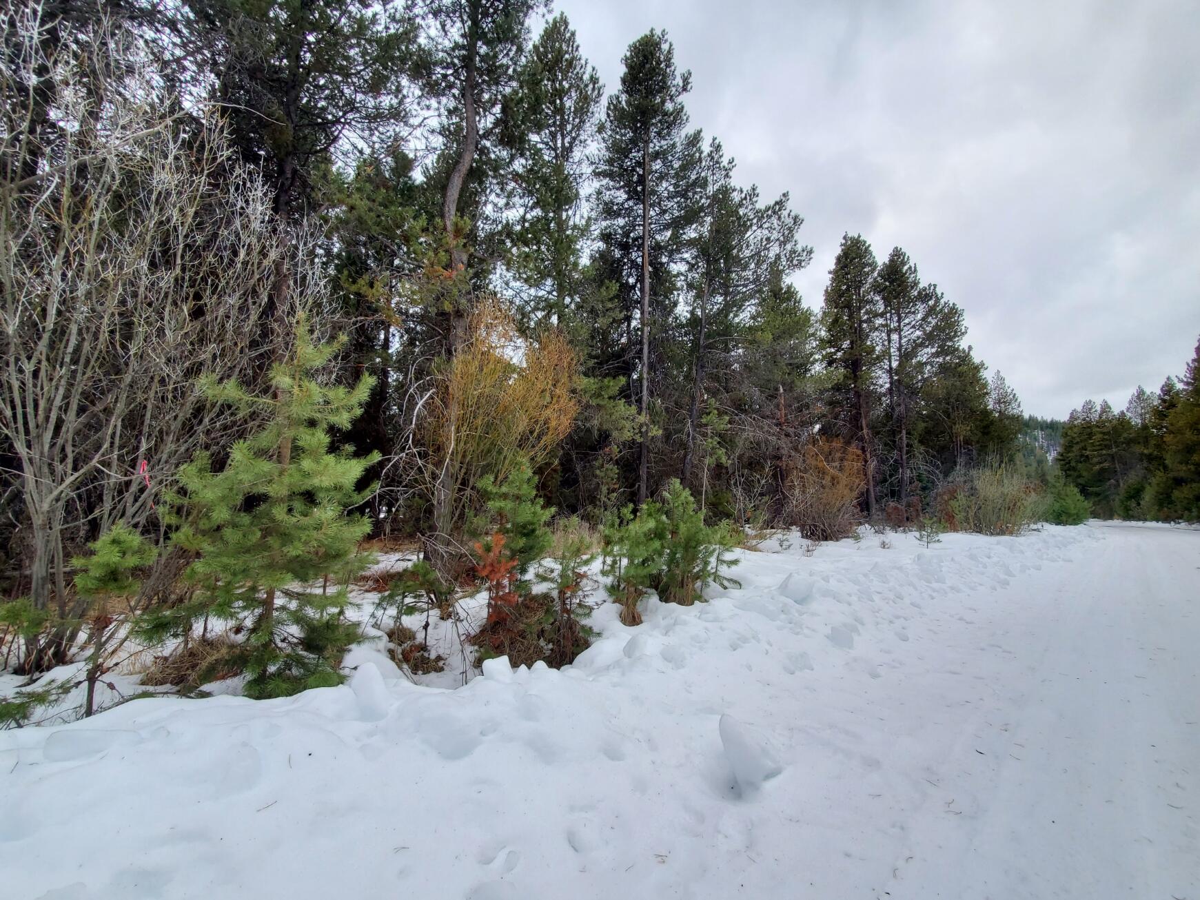 Deschutes River Recreation Homesites - Land