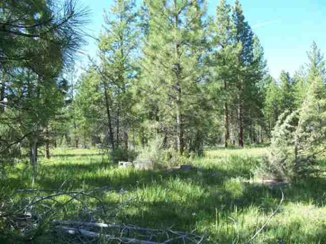 What A Find! 50+ Remote Acres Bordering National Forest! Property Is In The Process Of Being Properly Groomed To Meet Urban-rural Interface And Fire Safety Standartds. Lots Of Pines And Quaking Aspen With Forest Service Road Through Part Of The Property. Some Wetlands On The Eastern Boundary With A Spring Per Owner! Perfect For Your Dream Vacation Or Hunting Cabin Or Even Remote Year Round Living. Seller Is Having Road Work Done For Easier Access.