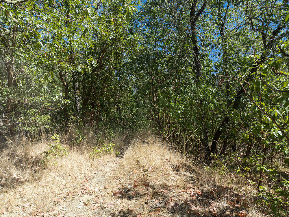 Meadow Wood Subdivision - Land