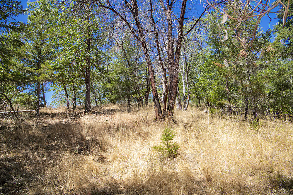 Meadow Wood Subdivision - Land