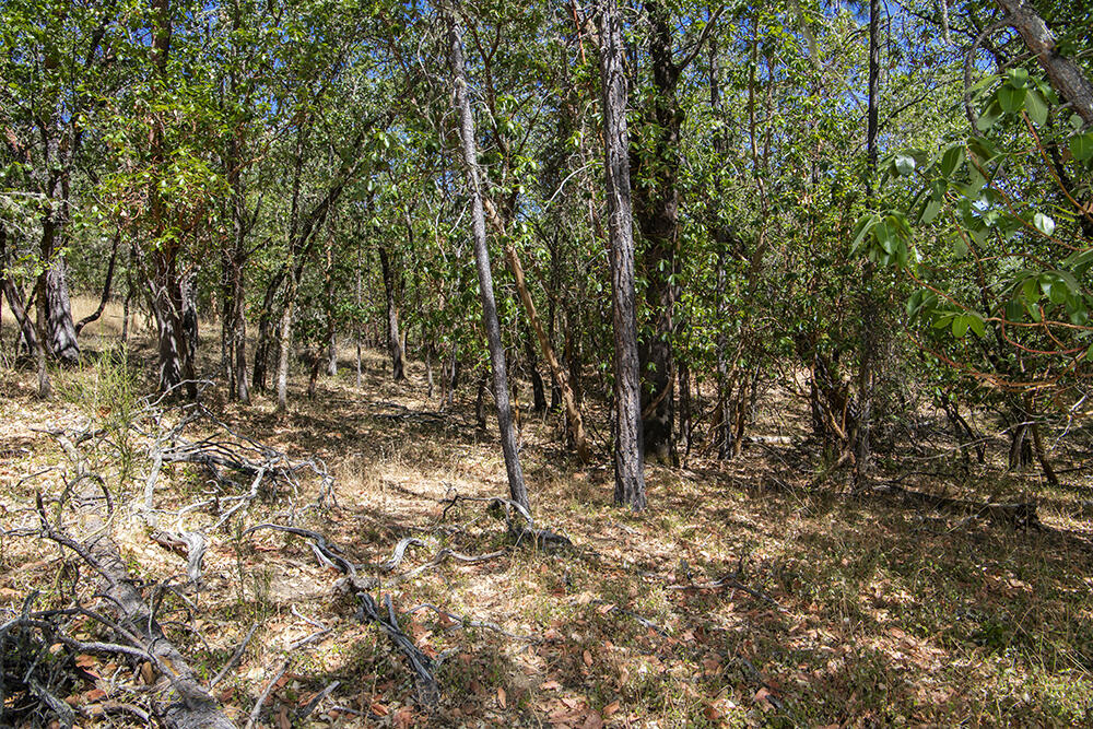 Meadow Wood Subdivision - Land