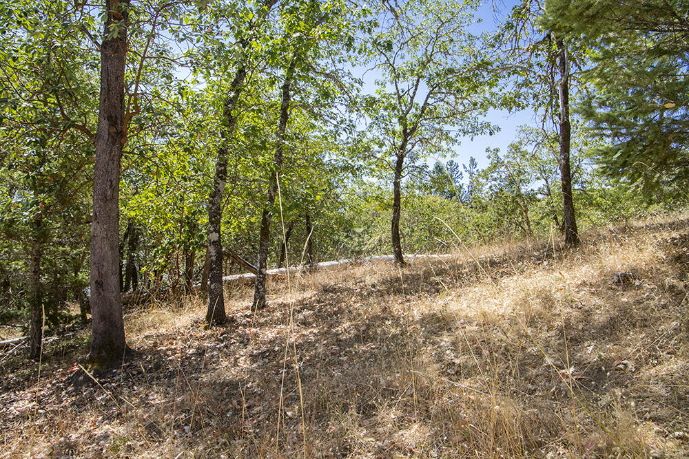 Meadow Wood Subdivision - Land