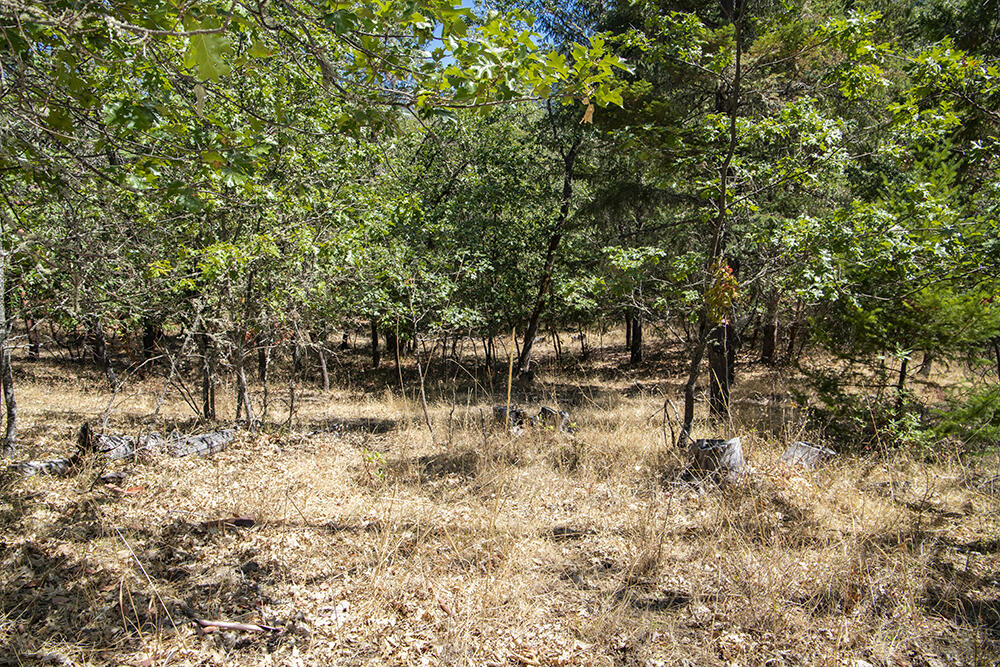 Meadow Wood Subdivision - Land
