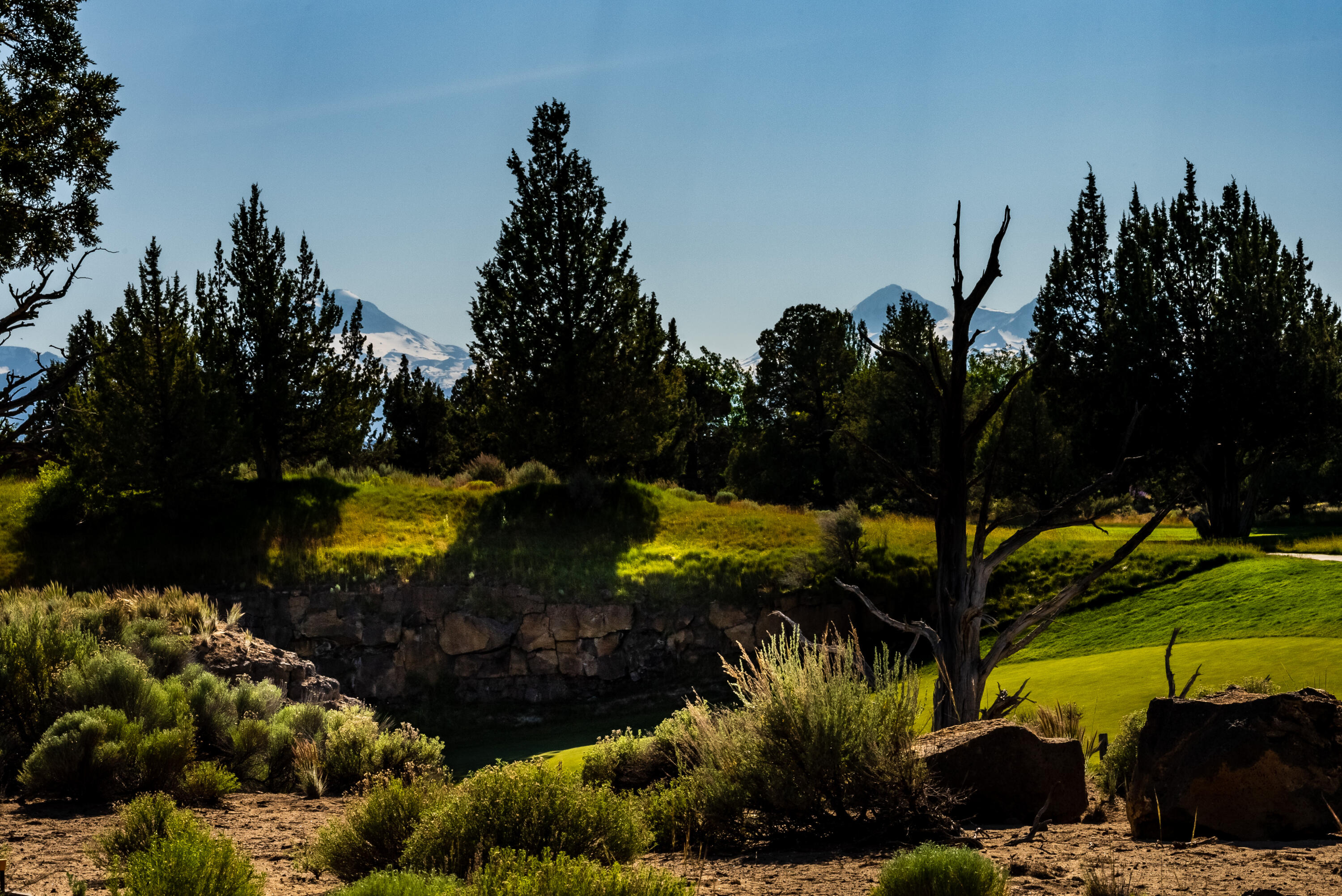 Pronghorn - Land
