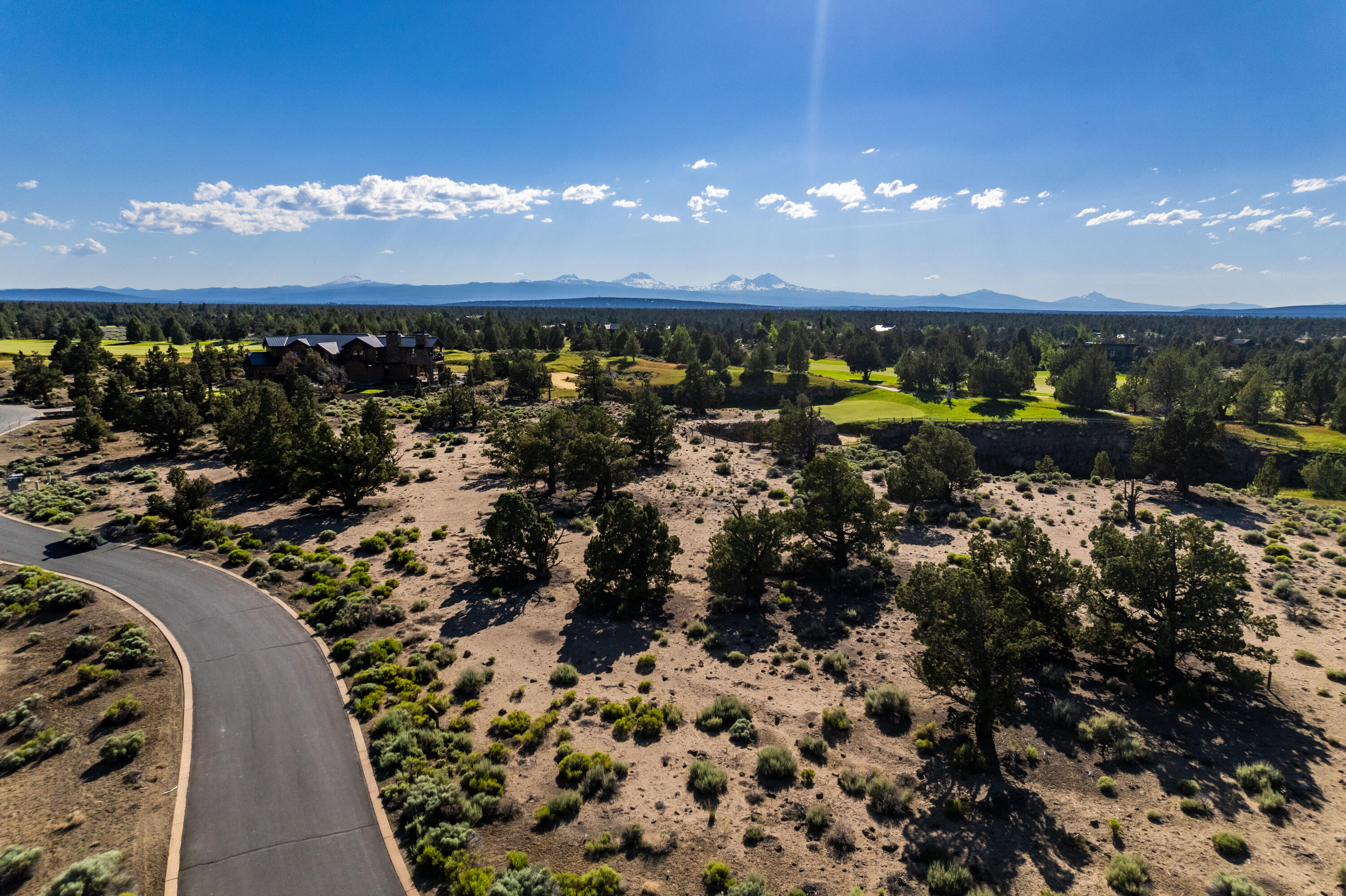 Pronghorn - Land
