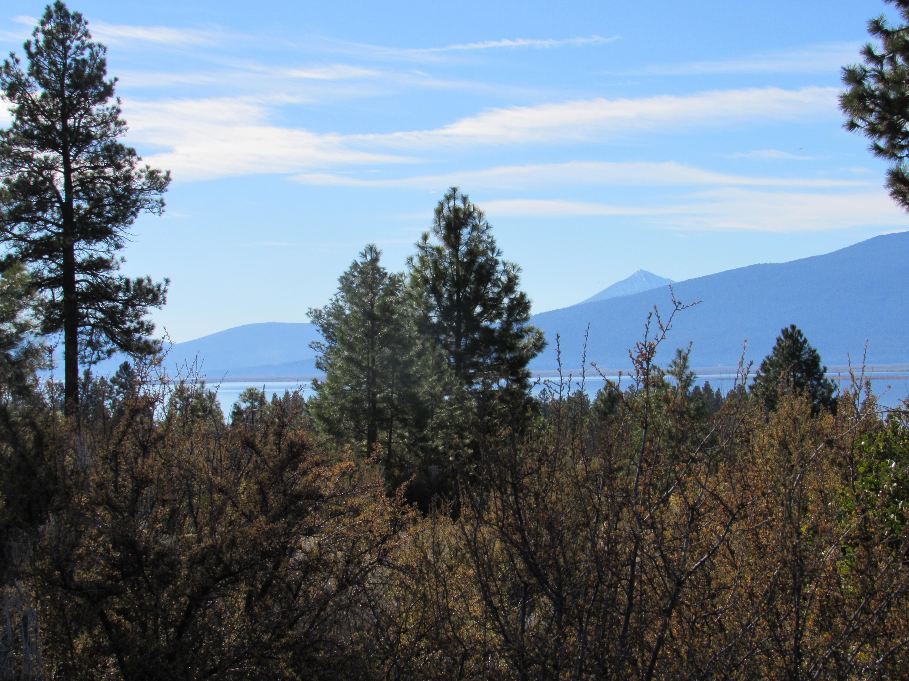 Monte Vista Ranch - Land
