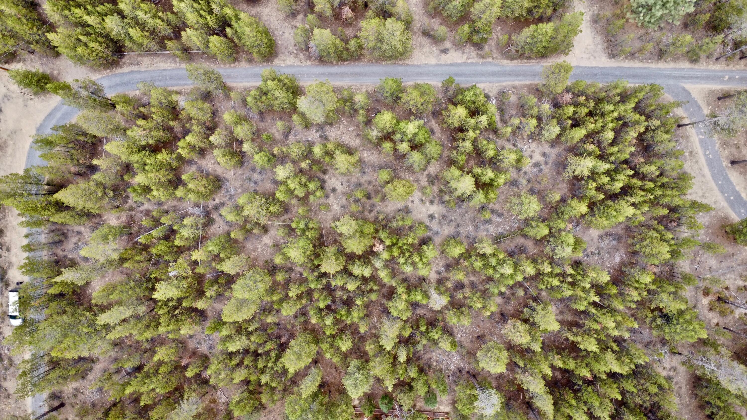 Treed 1.17 acre lot in a private setting! This property would be perfect for someone looking to build their dream home in a peaceful place in the beautiful Central Oregon
wilderness without sacrificing their proximity to La Pine's amenities. Just a short drive away to lakes, rivers, hiking trails, camping and many additional outdoor
recreational activities, and a straight shot to Highway 97 for easy travel to Sunriver and Bend. This is a unique opportunity to start from scratch and make it what you want
it to be!
