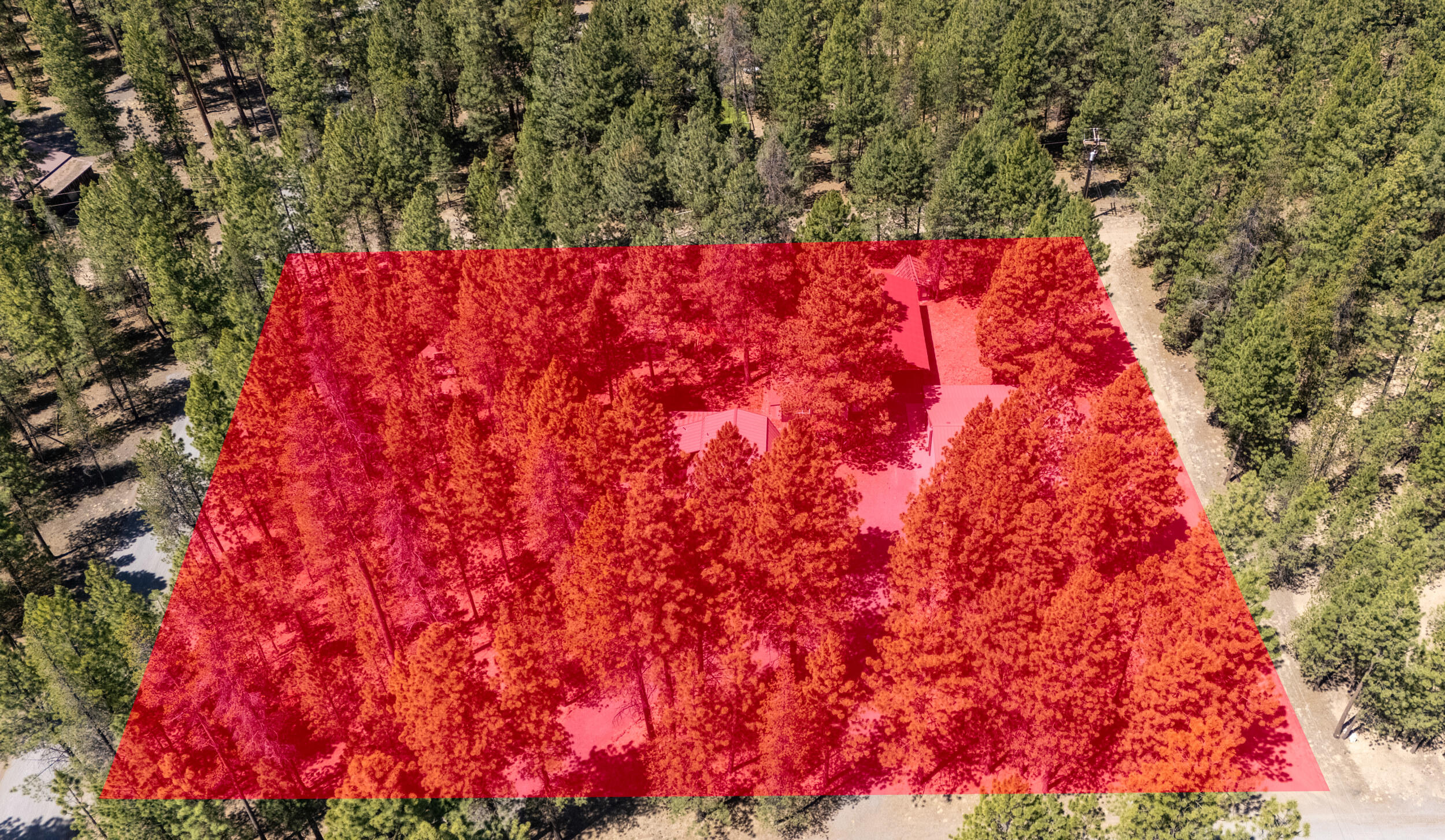 Ponderosa Pines - Residential