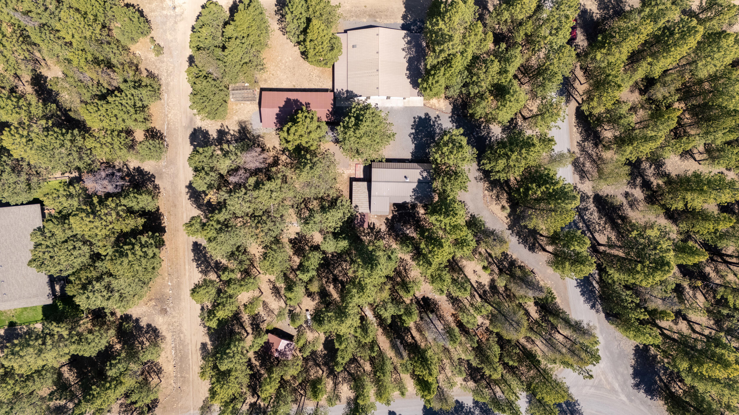 Ponderosa Pines - Residential