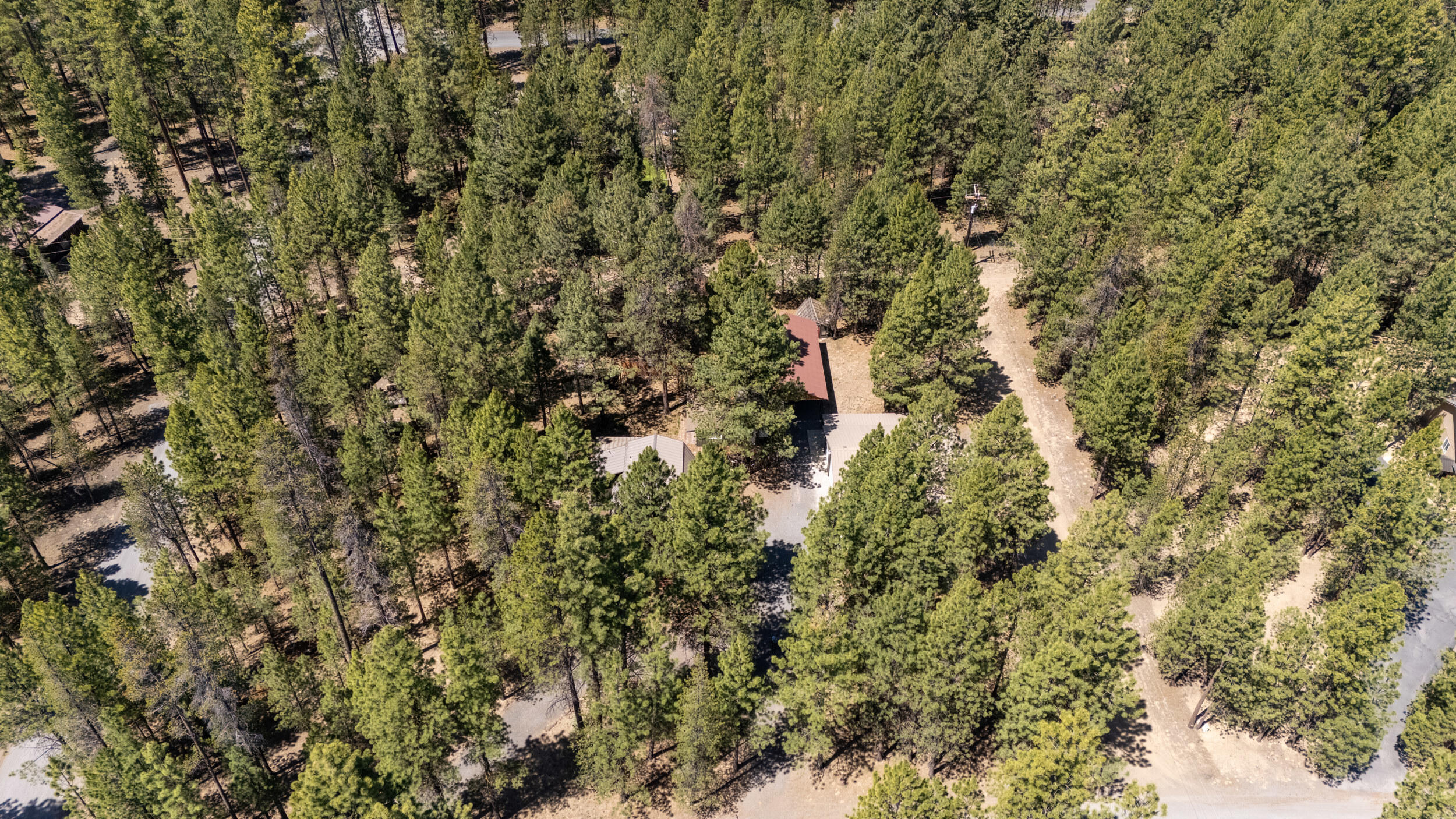 Ponderosa Pines - Residential
