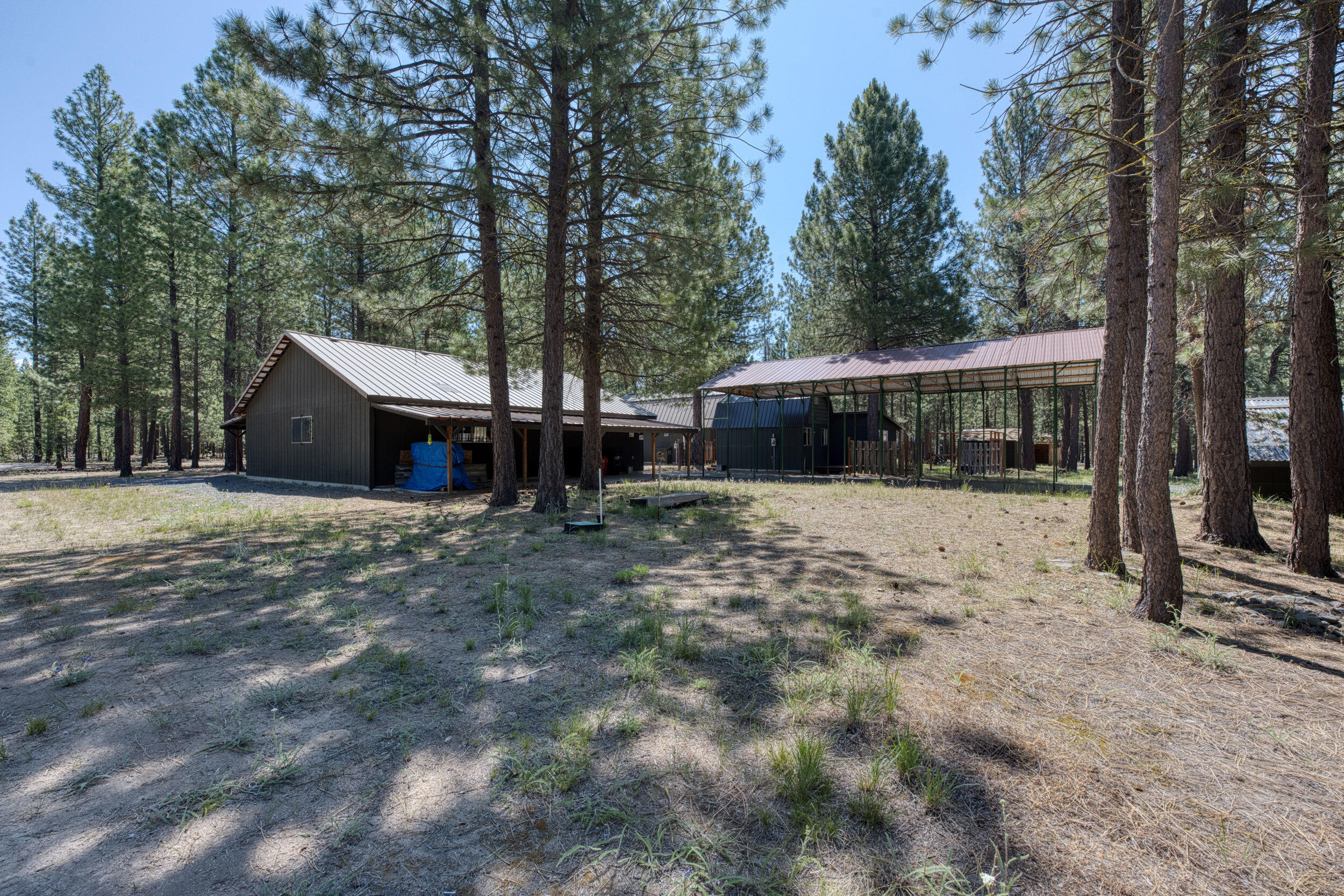 Ponderosa Pines - Residential