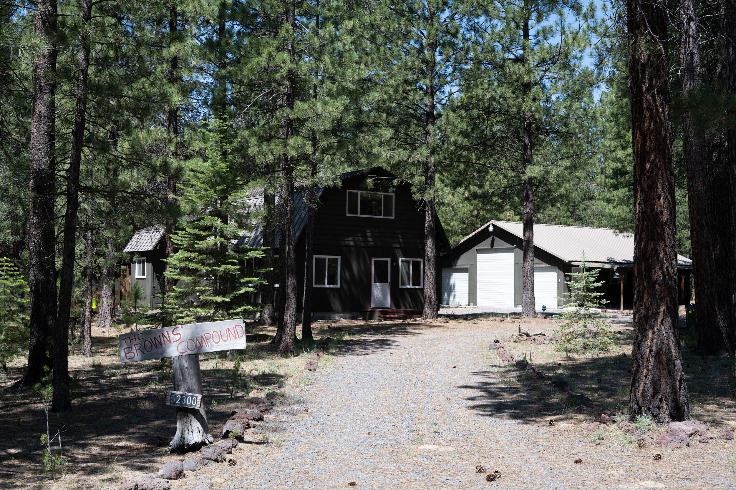 Ponderosa Pines - Residential