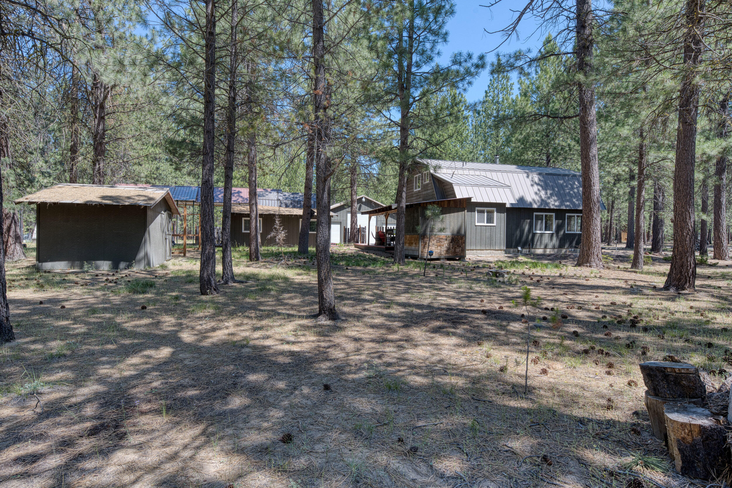 Ponderosa Pines - Residential