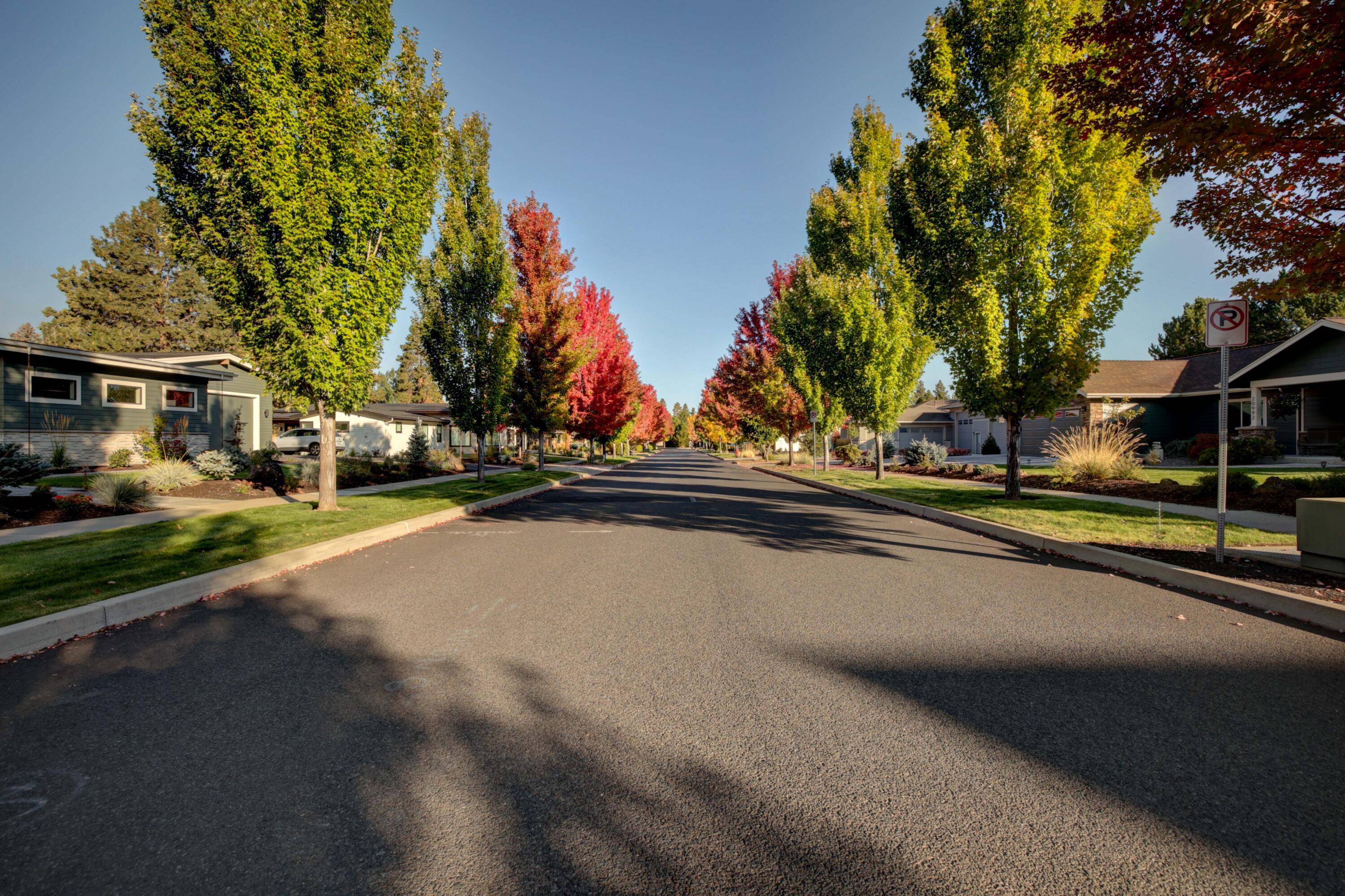 Orion Greens - Residential