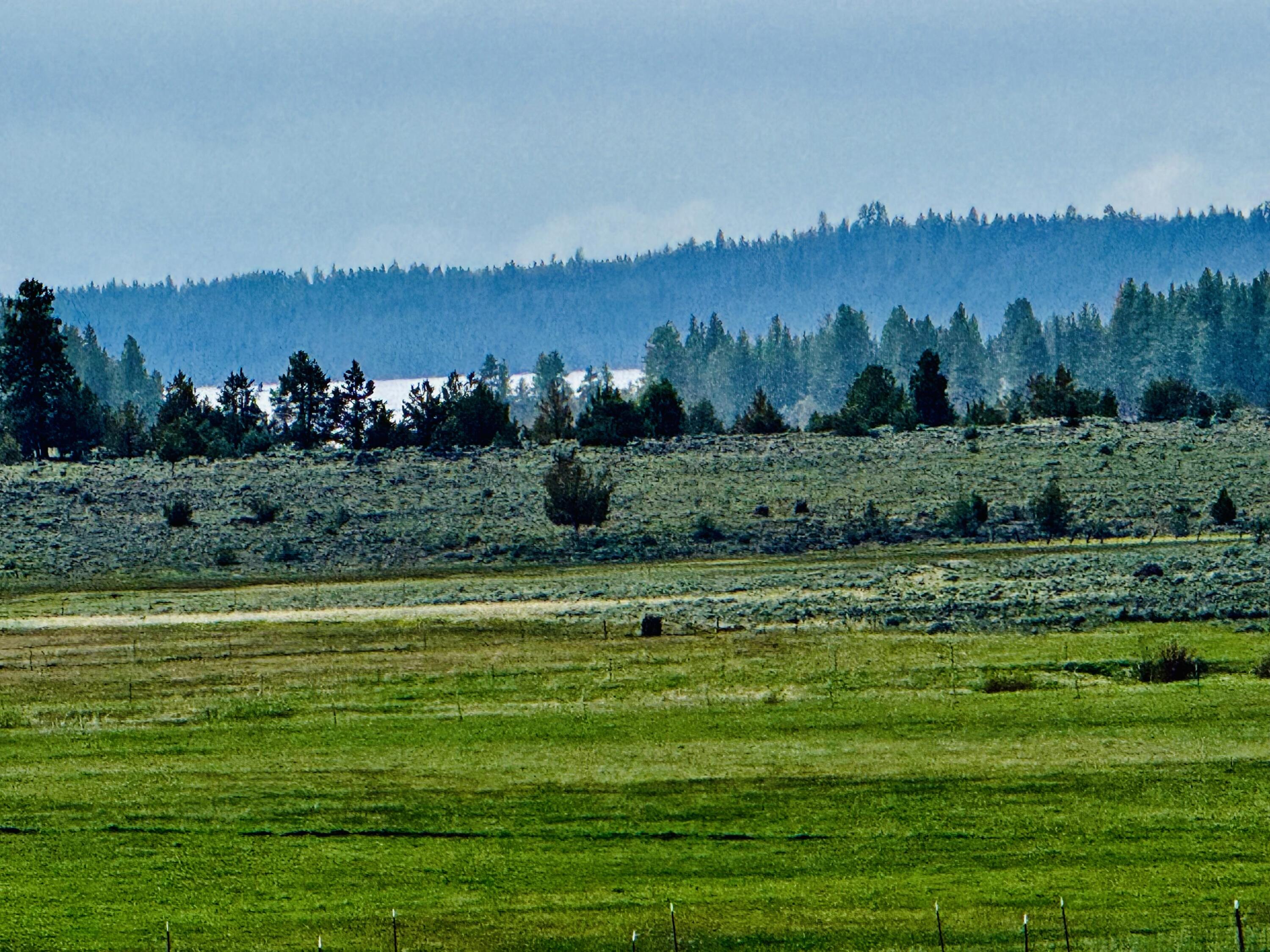 Bonanza - Farm