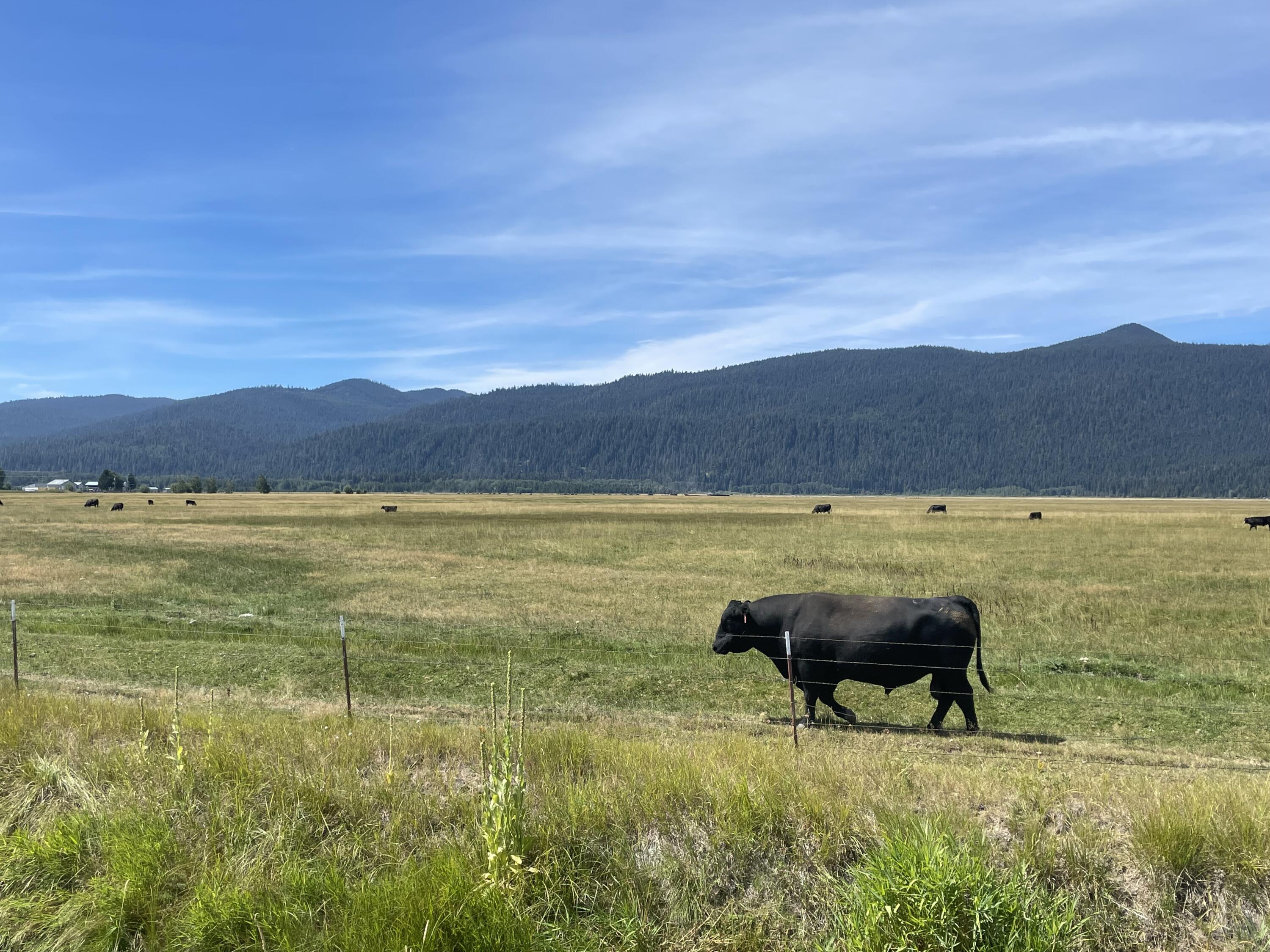 Klamath Country - Farm