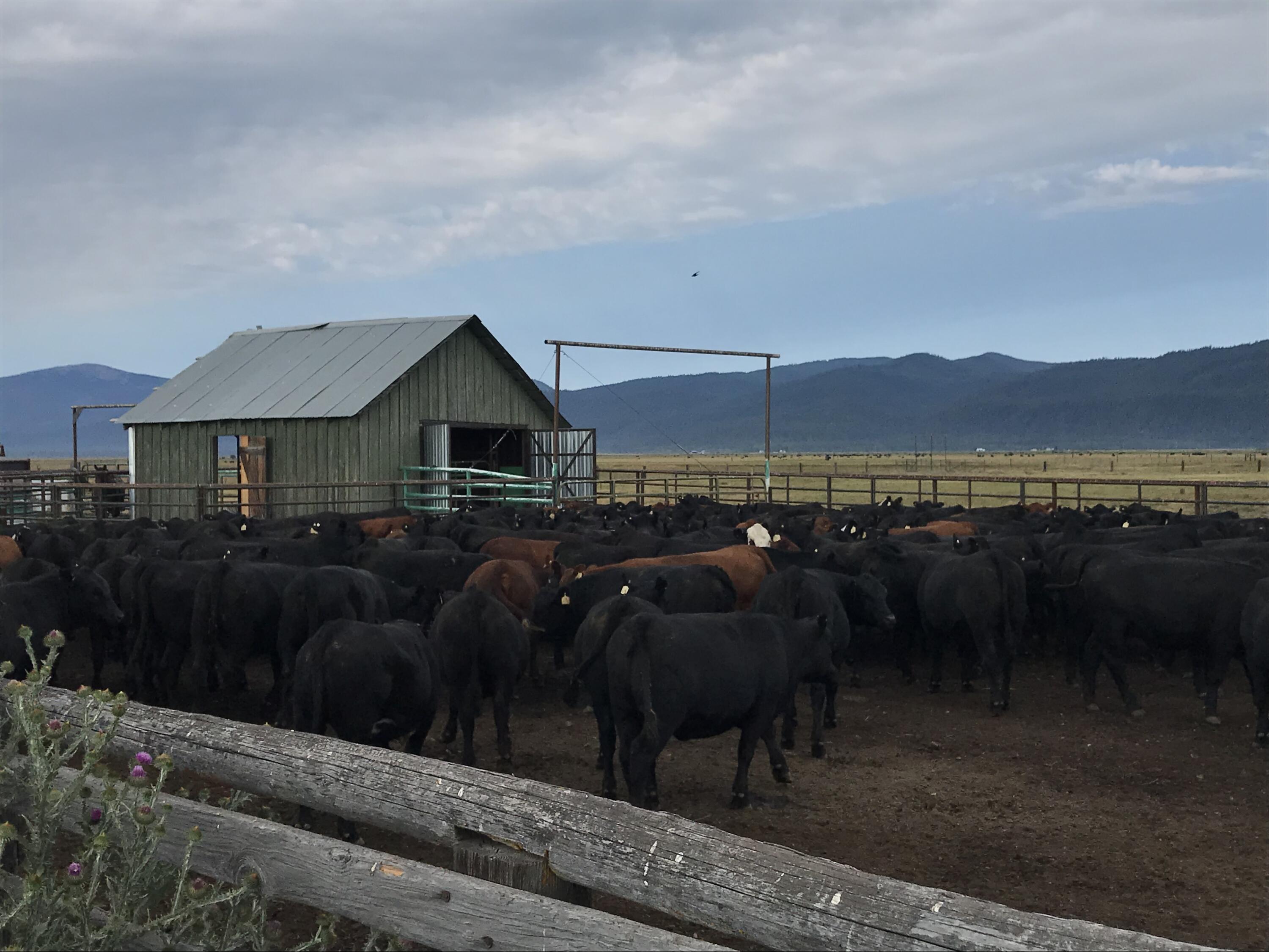 Klamath Country - Farm