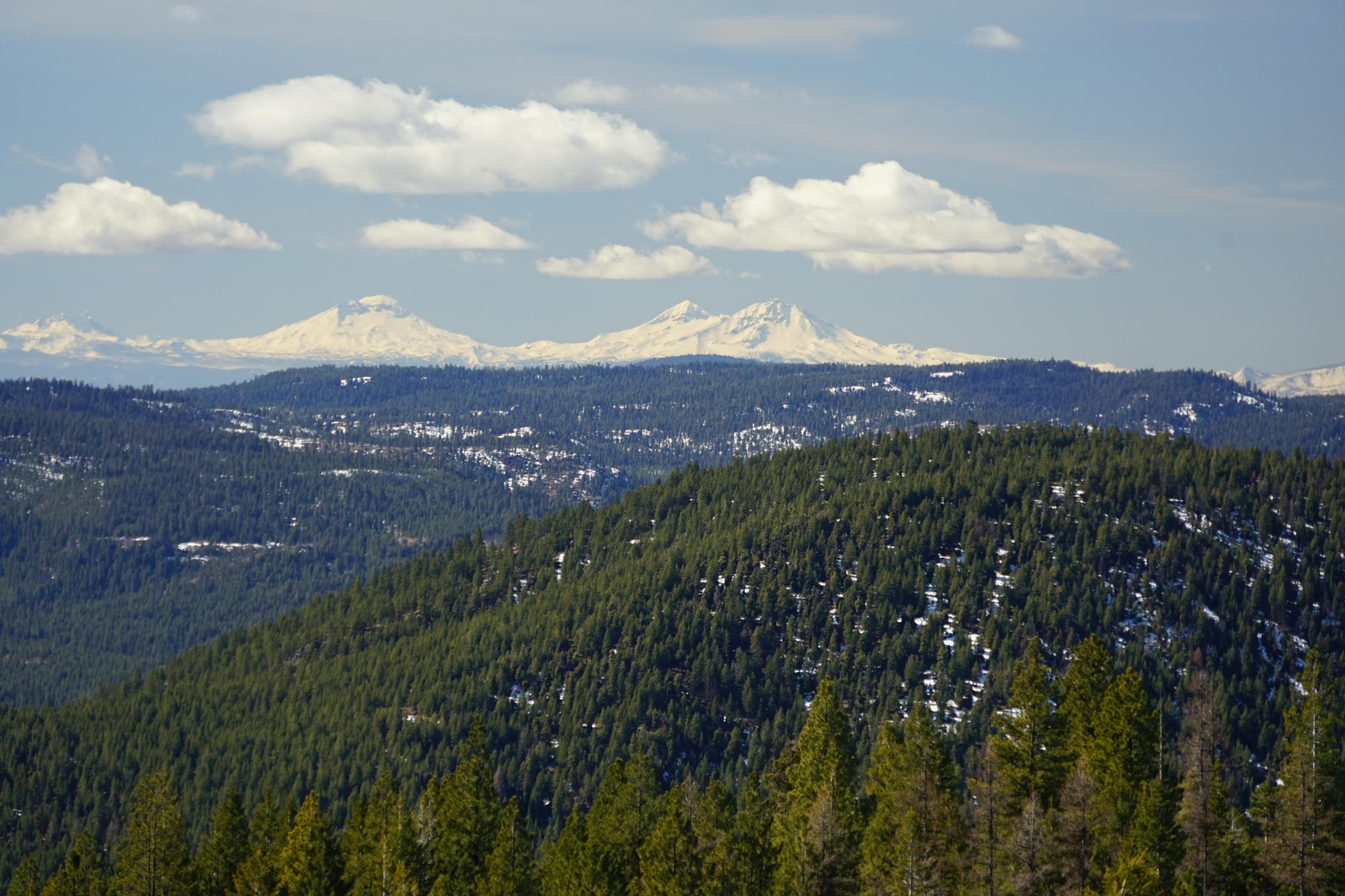 The Opal Mountain Ranch, located twenty-five miles north east of Prineville, Oregon, is a legacy recreational timber ranch consisting of approximately 16,981+/- deeded acres in a large private block with exceptional wildlife, timber and water re-sources. There are 17+ miles of streams and creeks that create the headwaters of Trout Creek/Deschutes River and flow into the John Day River. With Cascade Mountains views from Mt Bachelor to Mt Rainier as its backdrop, the topography ranges from timber covered slopes, grassy hillsides, steep canyons and meadows. The ranch has an elevation range of 5,700 feet down to 3,600 feet with over four miles bordering the Ochoco National Forest allowing for diverse wildlife habit and abundant recreation. The property is expected to generate attractive annual positive cash flow from outfitting, conservation and carbon projects. Sustainable timber management and recreation create significant long term appreciation opportunities.