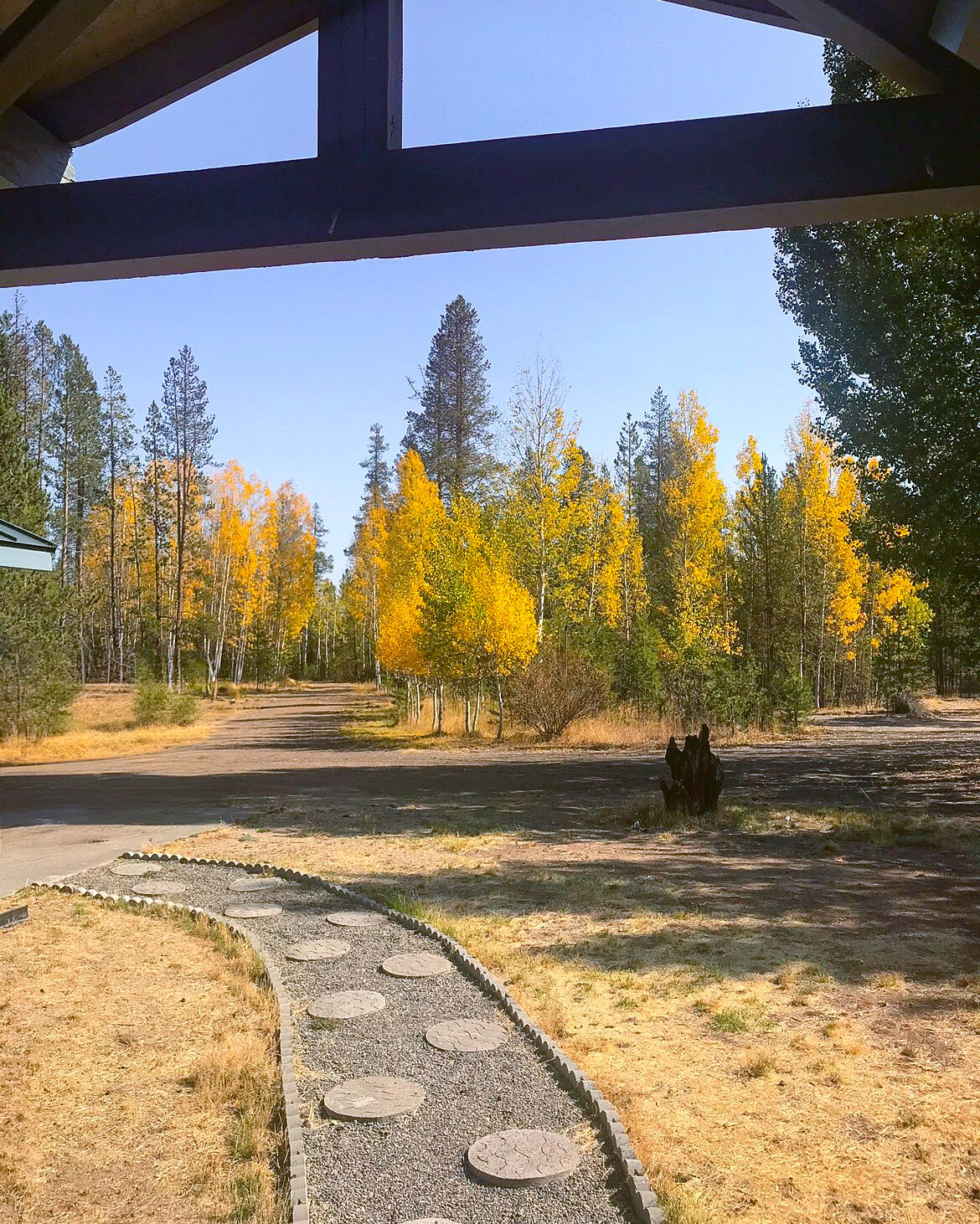 Antelope Meadows - Residential