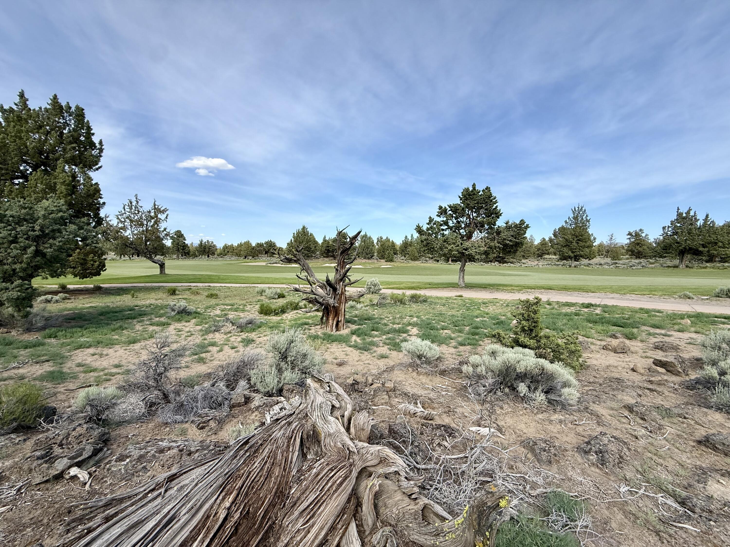 Pronghorn - Land