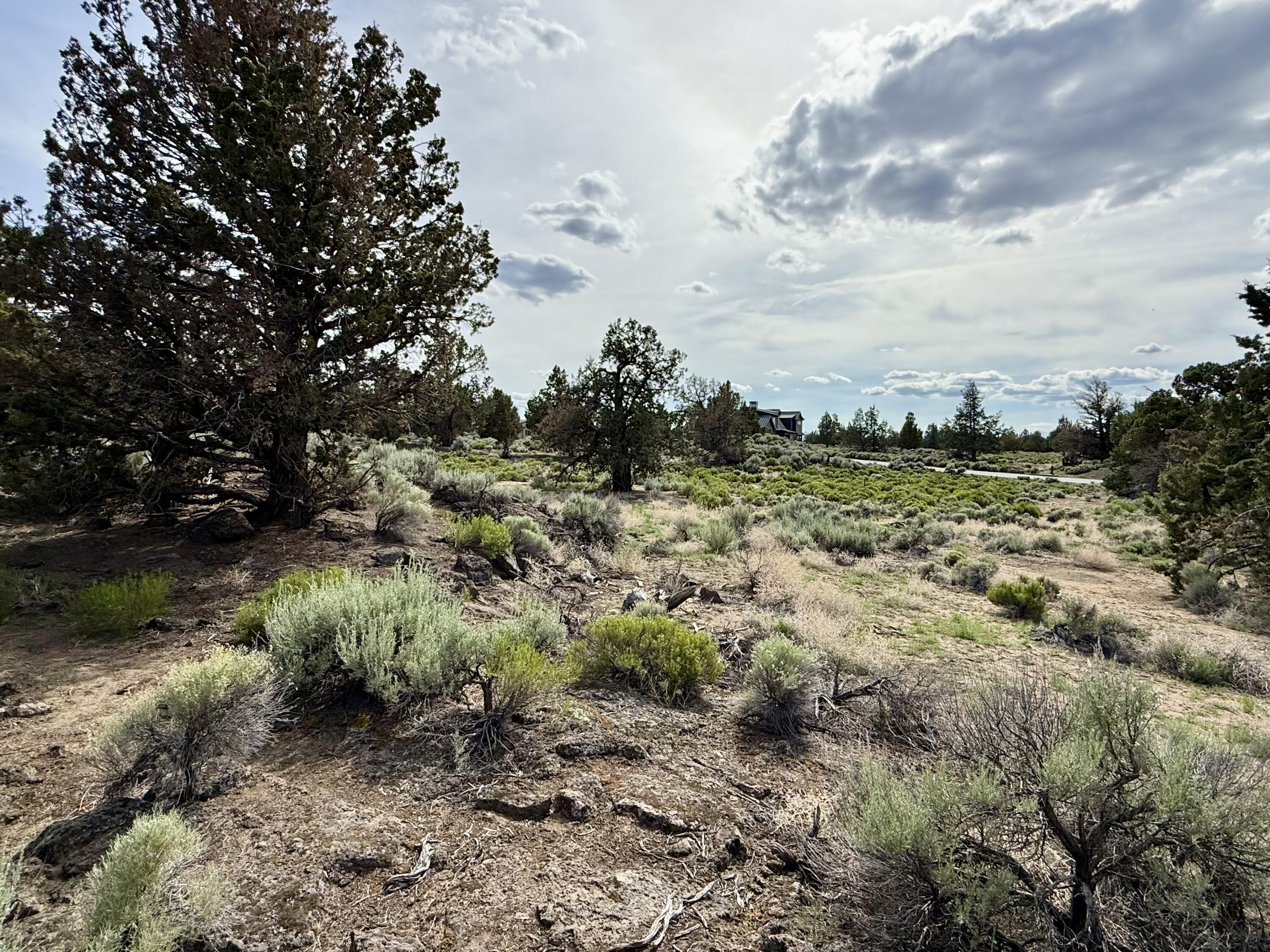 Pronghorn - Land