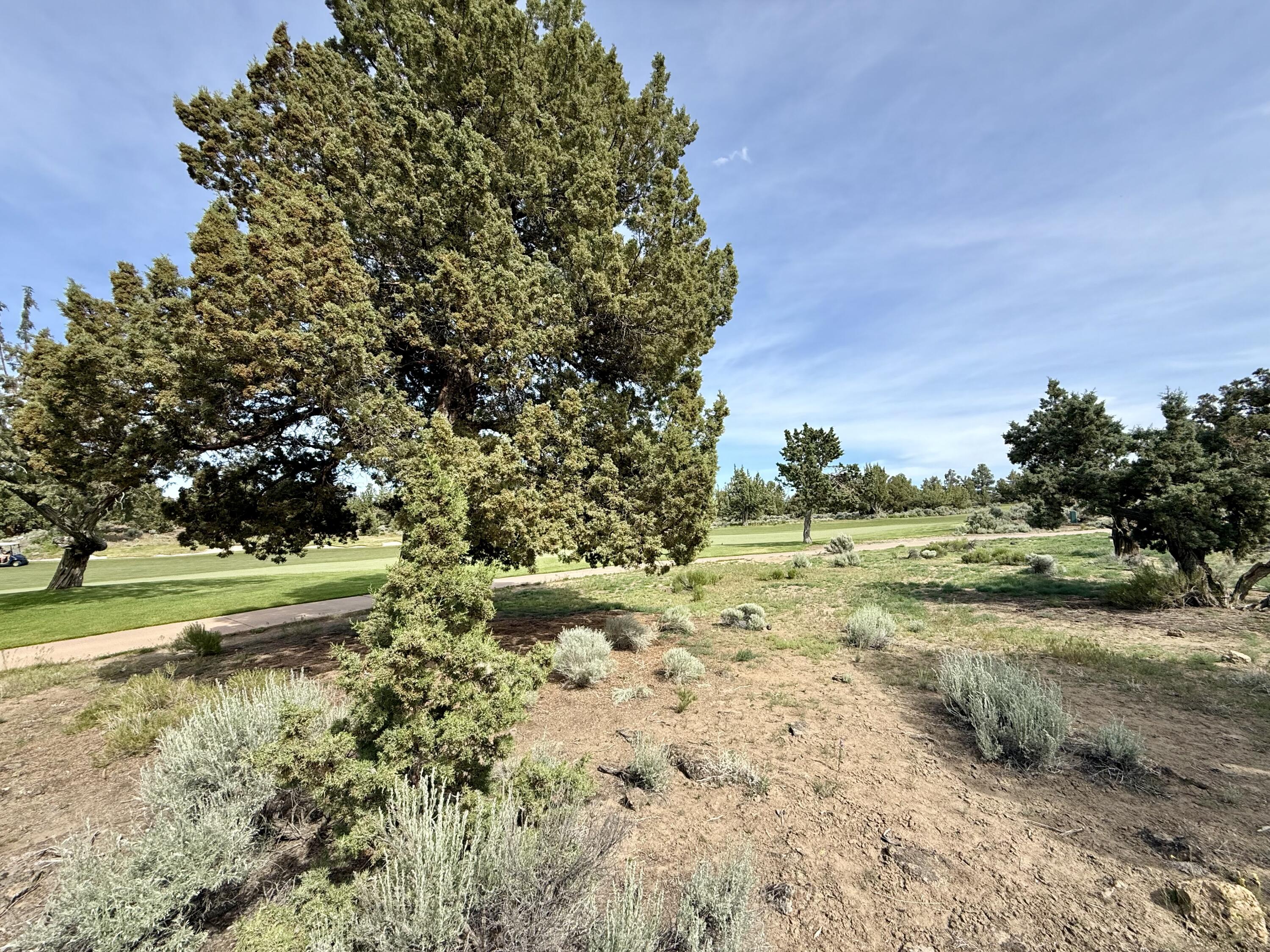 Pronghorn - Land