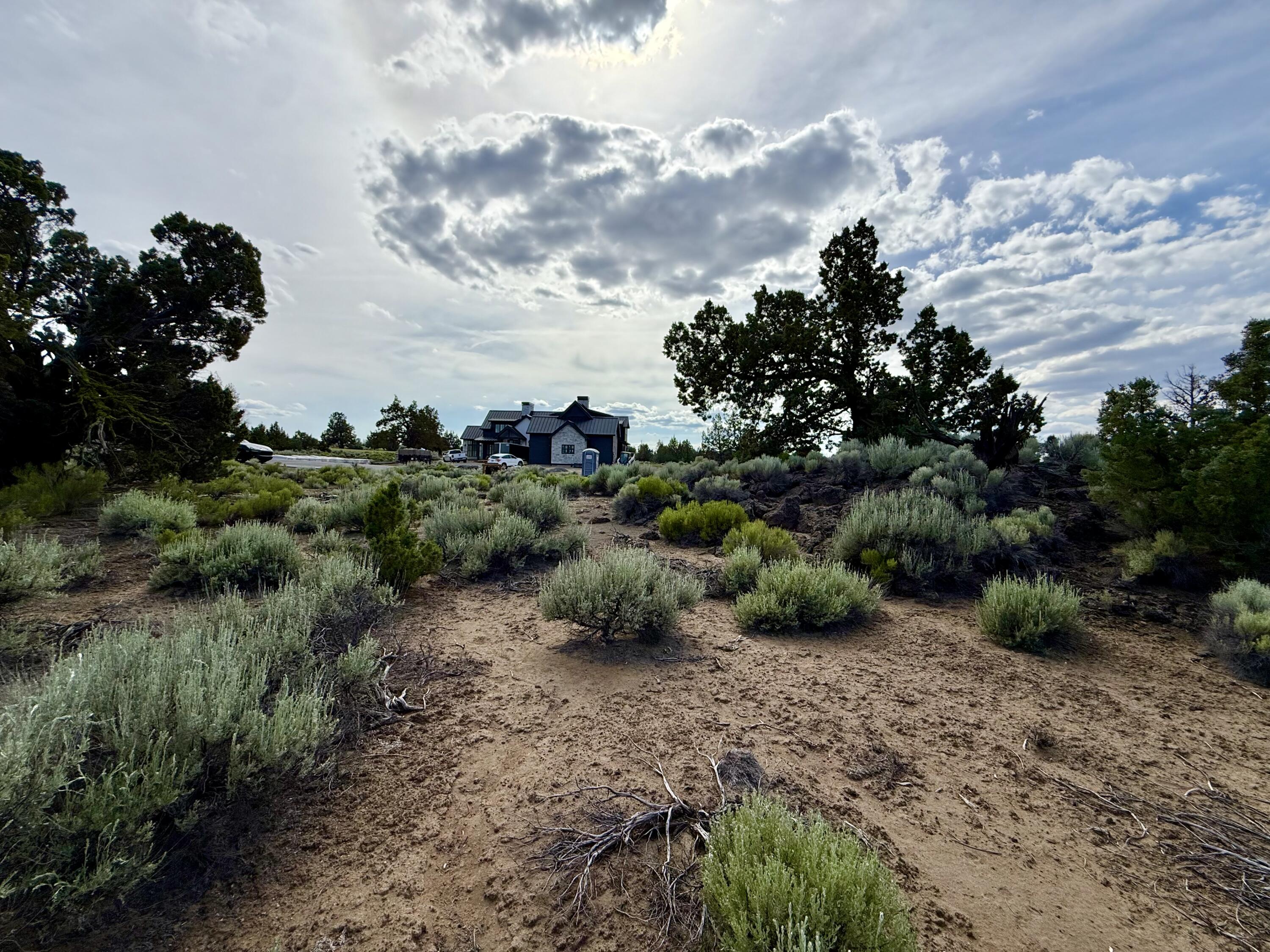 Pronghorn - Land