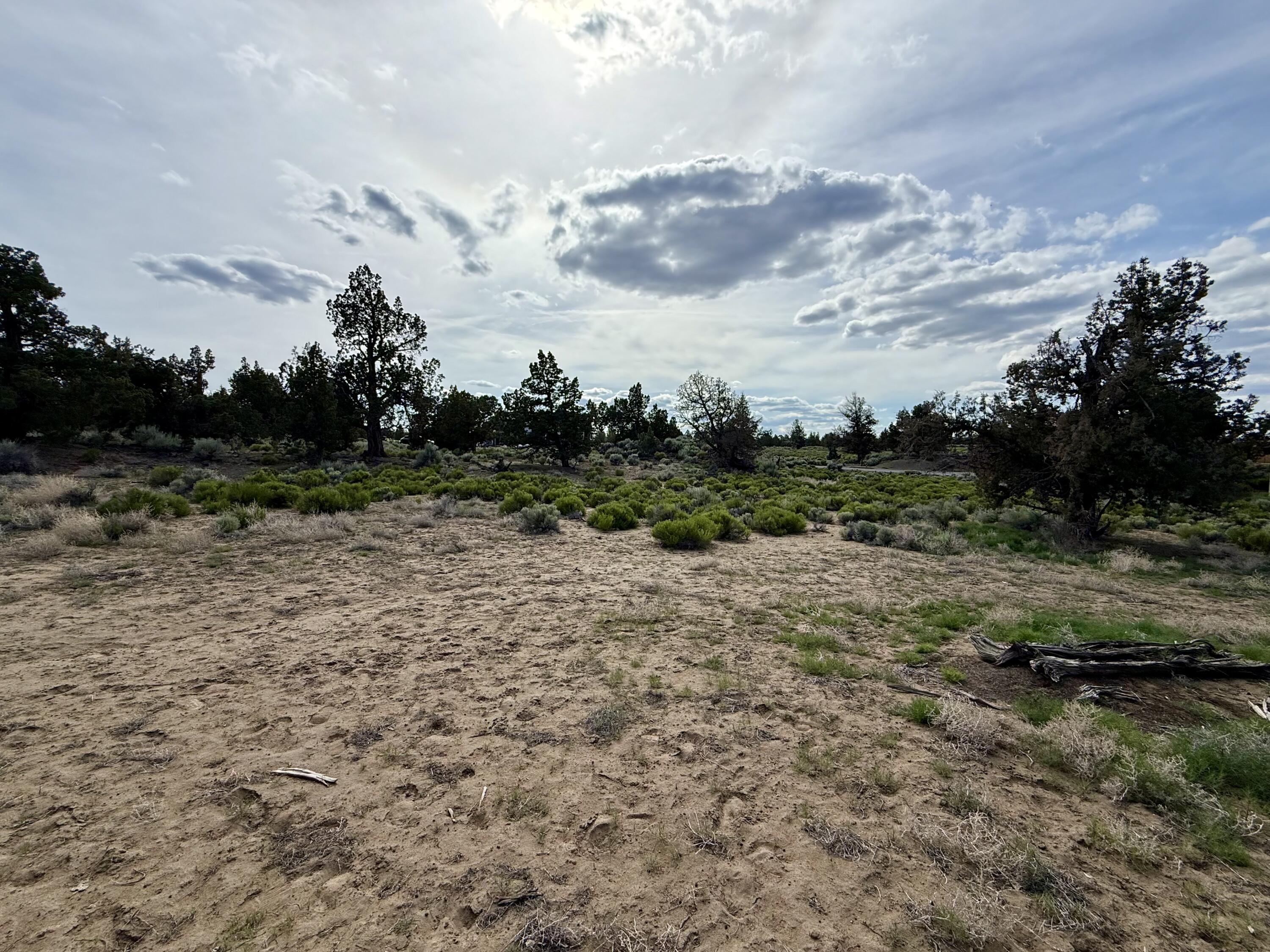 Pronghorn - Land