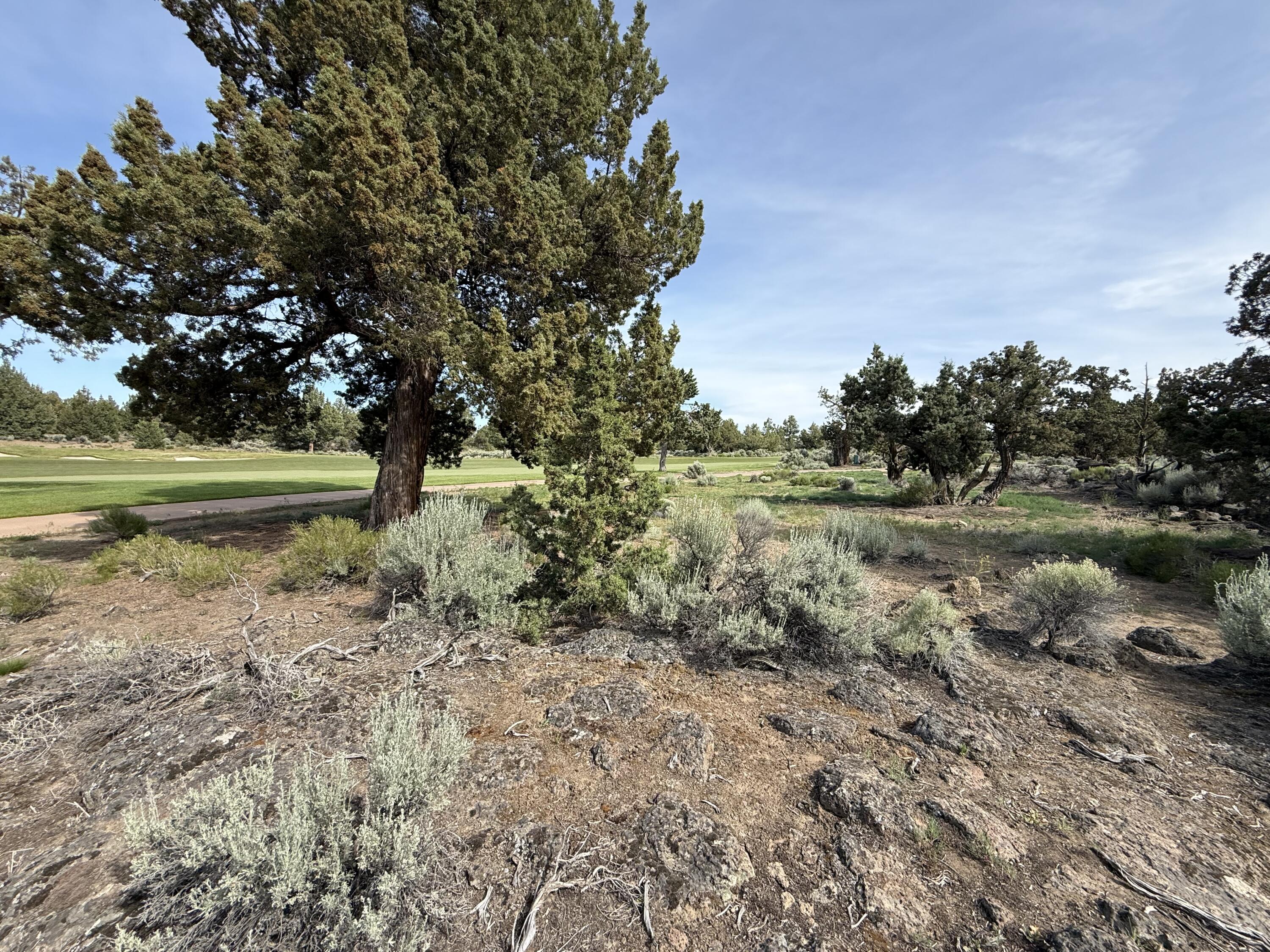 Pronghorn - Land