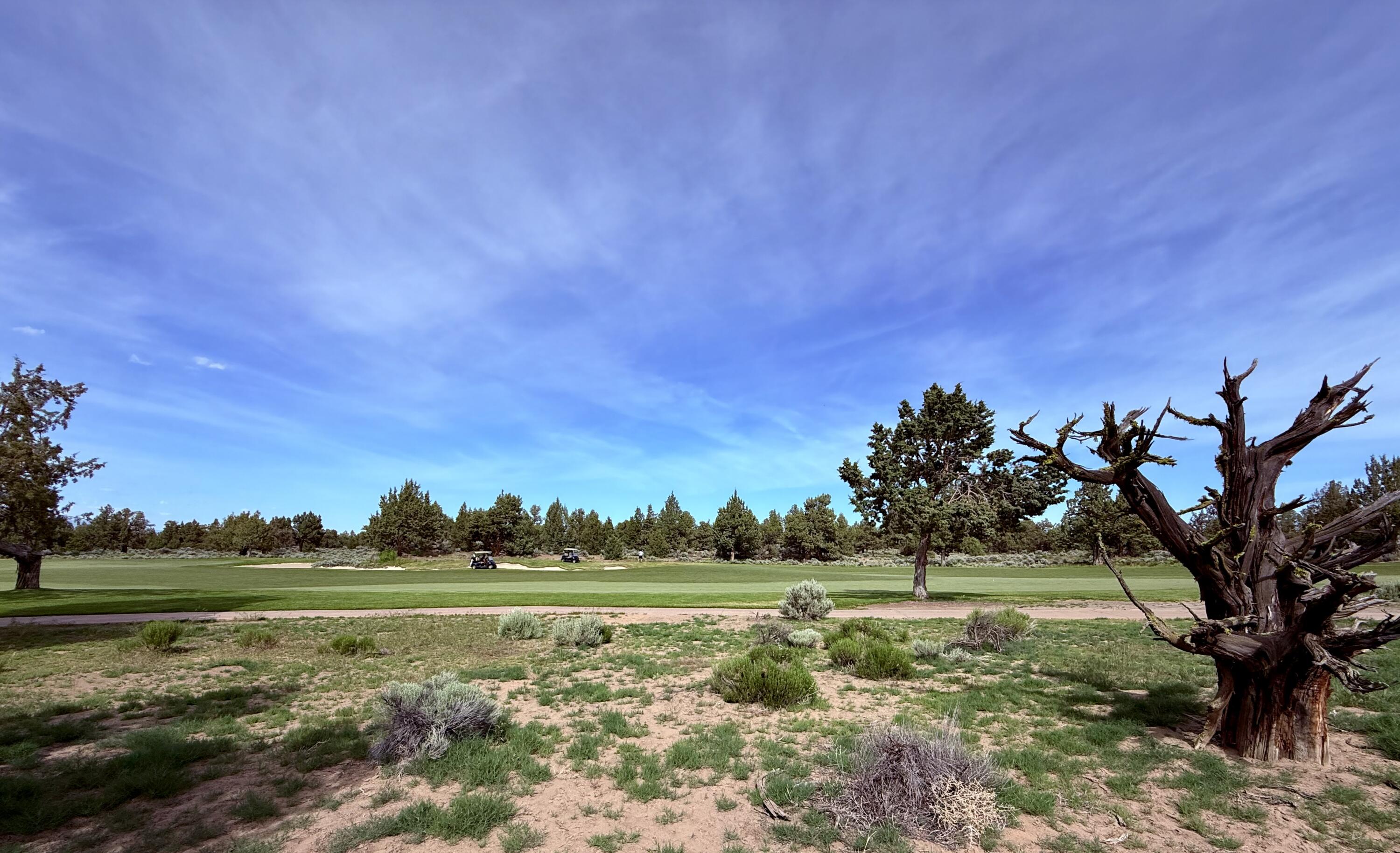 Pronghorn - Land