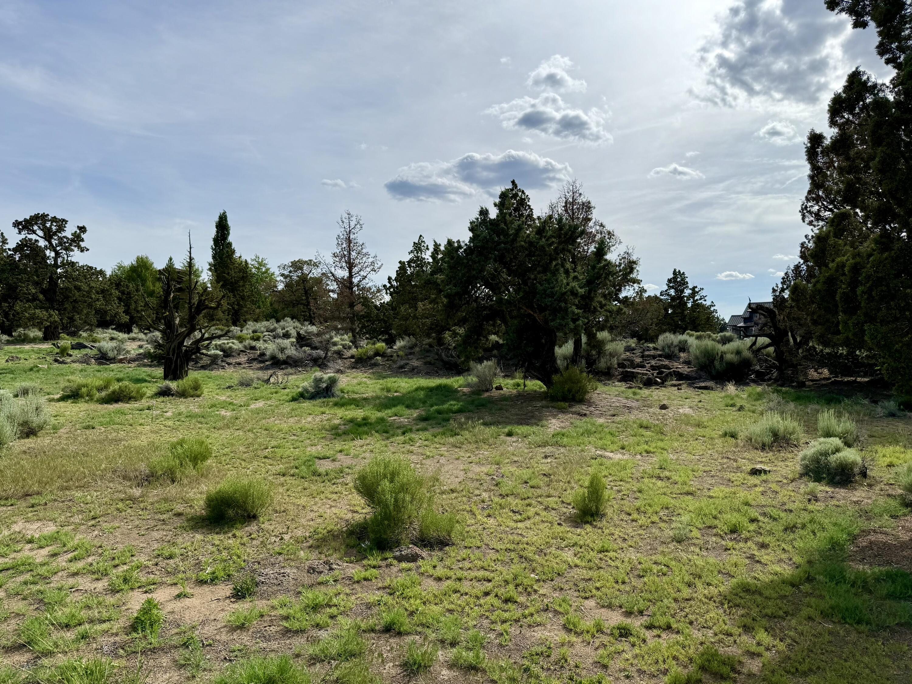 Pronghorn - Land