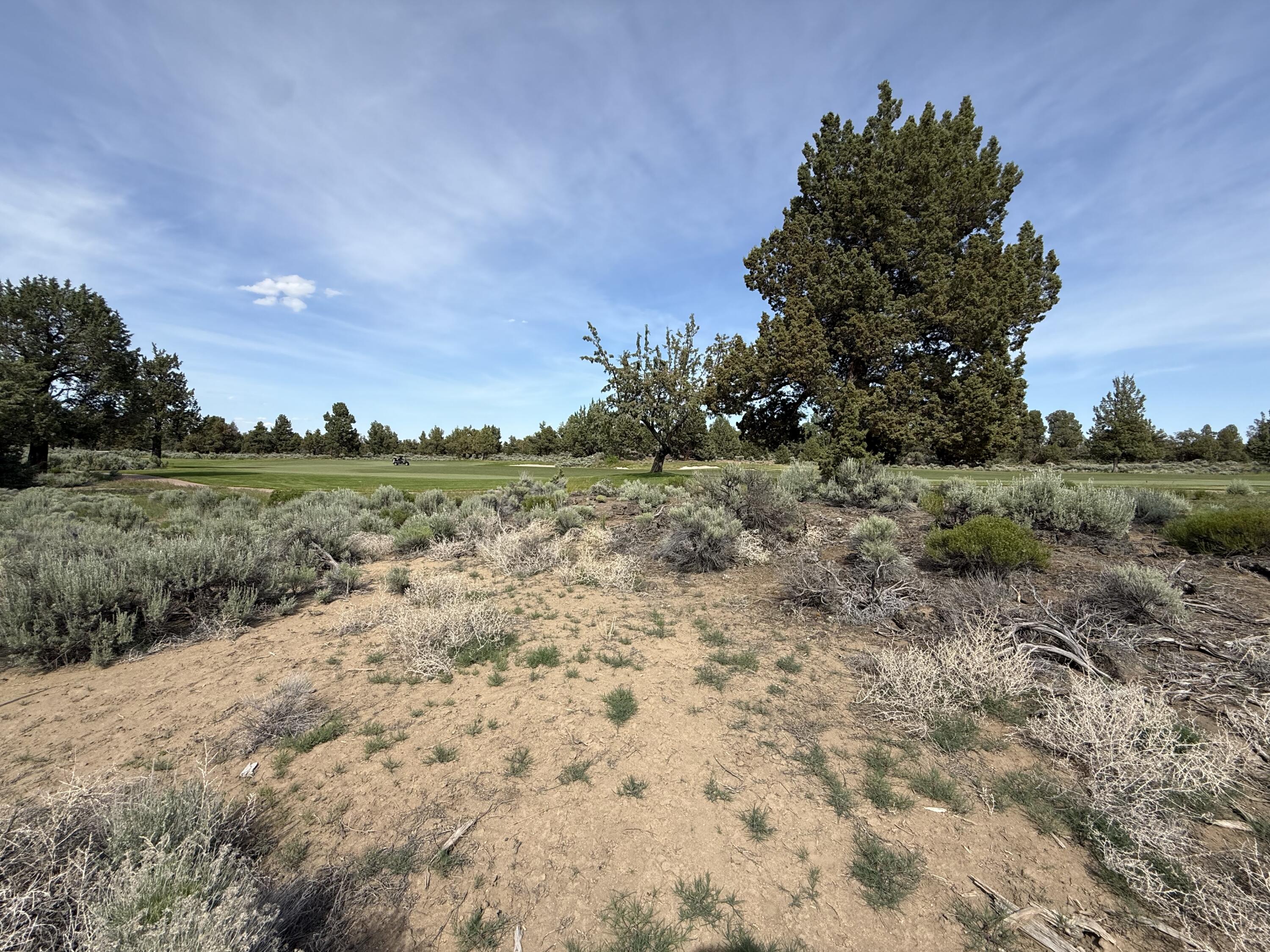 Pronghorn - Land