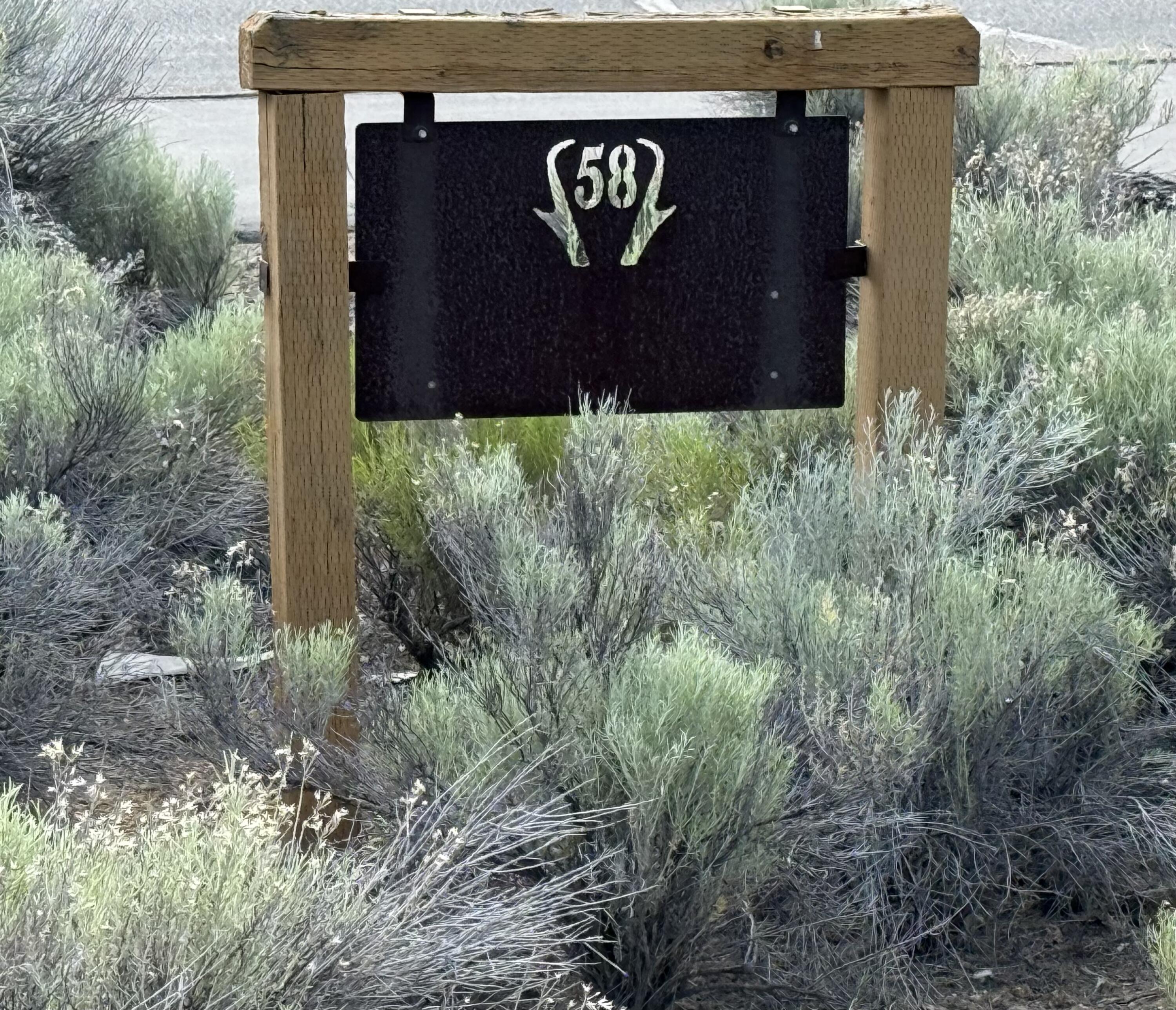 Pronghorn - Land