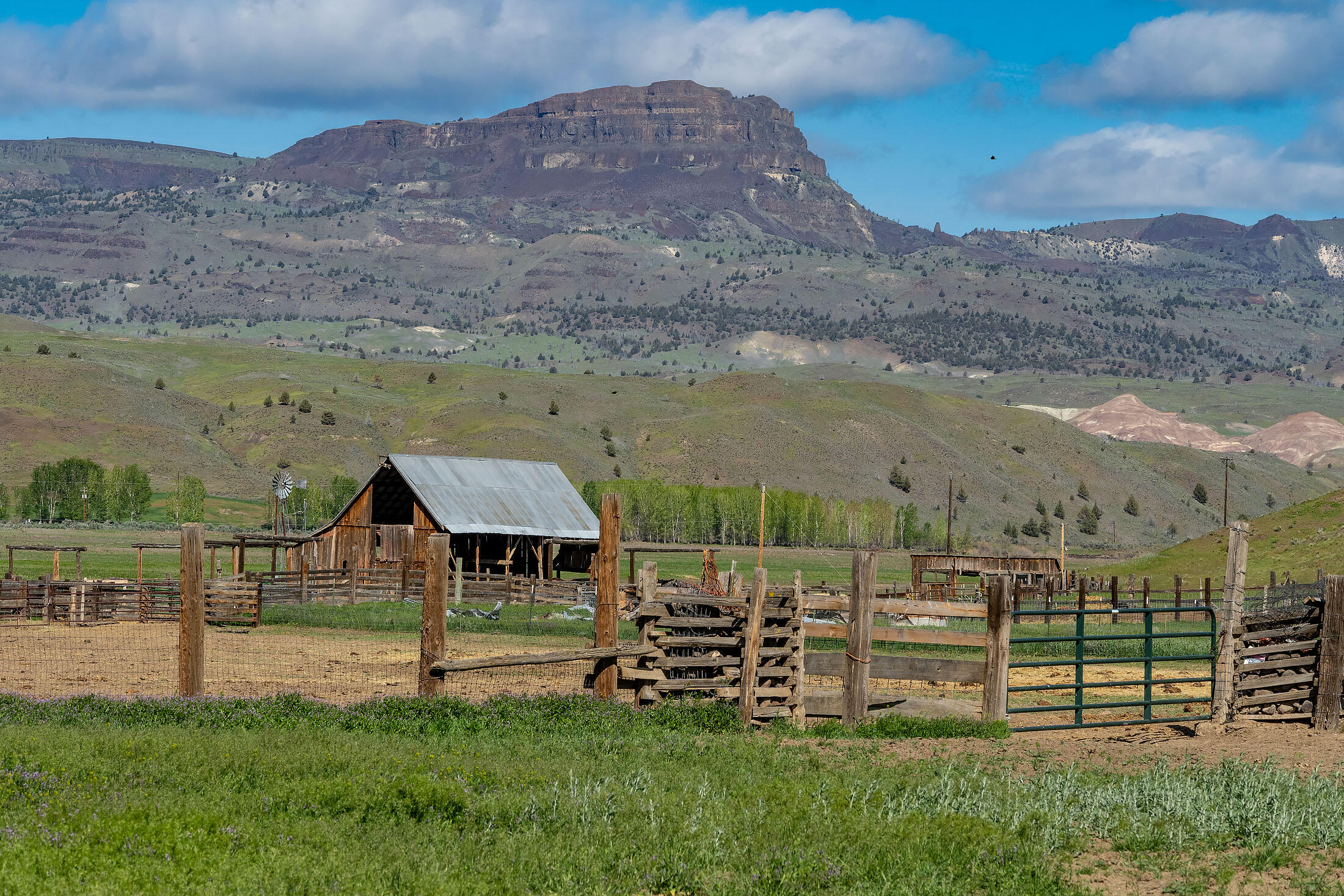 N/A - Farm