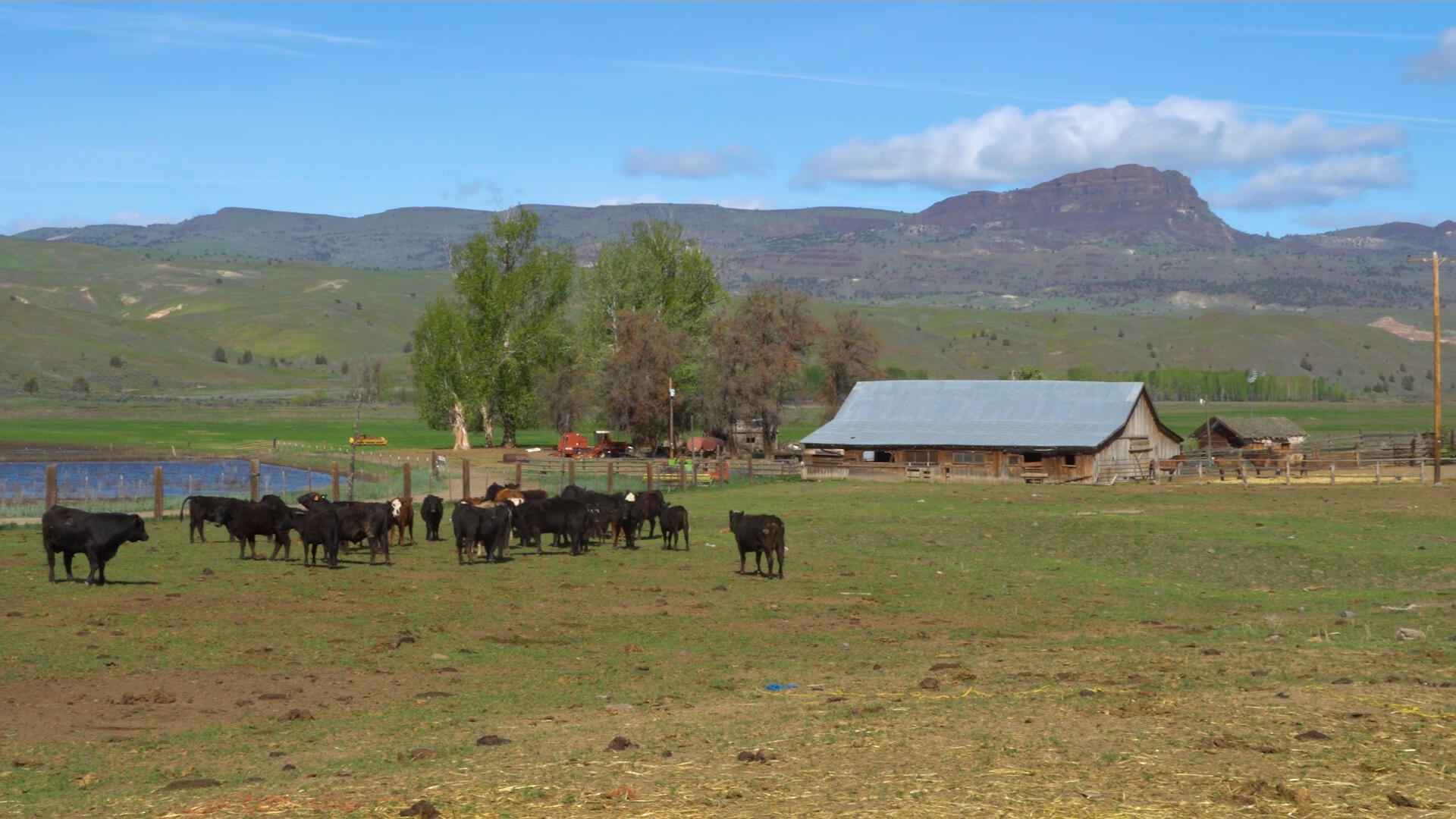 N/A - Farm