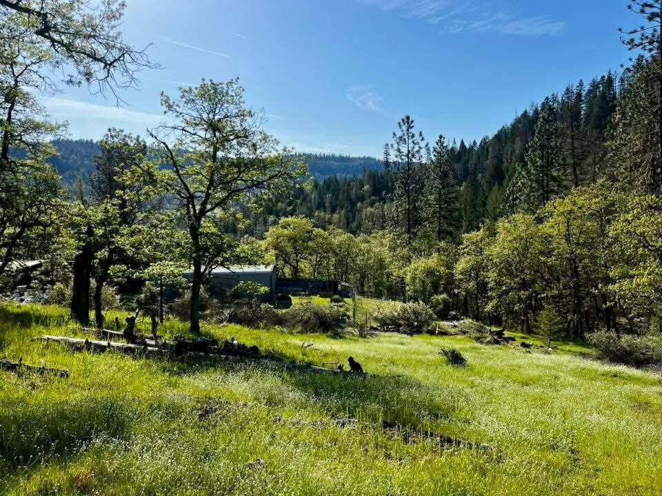 Enjoy your own private retreat on over 13 scenic acres! Relax and take in gorgeous mountain views from this peaceful property that backs up to BLM land—perfect for those who love the outdoors. Just minutes from the Rogue River and nearby lakes, you can fish, explore, or simply unwind in nature's beauty. The property includes a comfortable 3 bedroom, 2 bath home and a convenient shop, offering room for your hobbies, storage or projects. With privacy, space, and natural beauty, this is a great opportunity priced just below appraised value. Schedule a tour and start your adventure today!