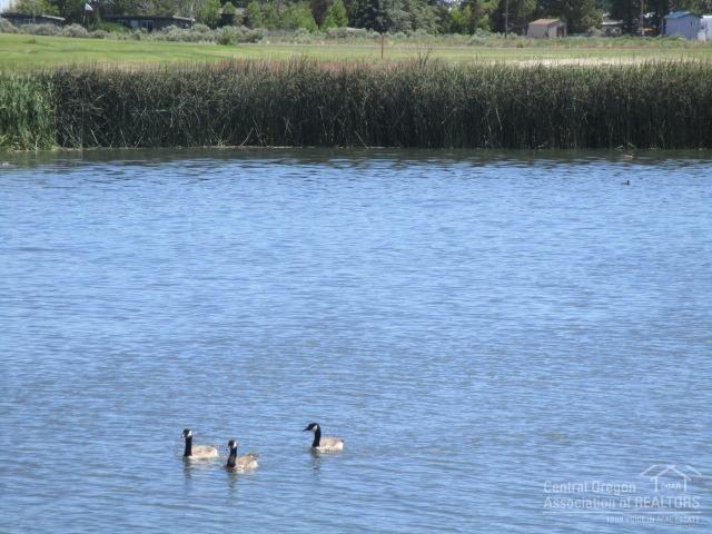 Nice Lake parcel for you to build your dream home. Enjoy the beautiful views from this property as the water fowl lands on the lake. Beautiful setting to enjoy the high desert sunsets. The area is served by multiple restaurants, public & private schools, library, hardware stores, medical clinic, EMT services, credit union, and more. This property has power and public water available at the street for buyer to develop; or purchase this lot with the one to the west and have a large home site.