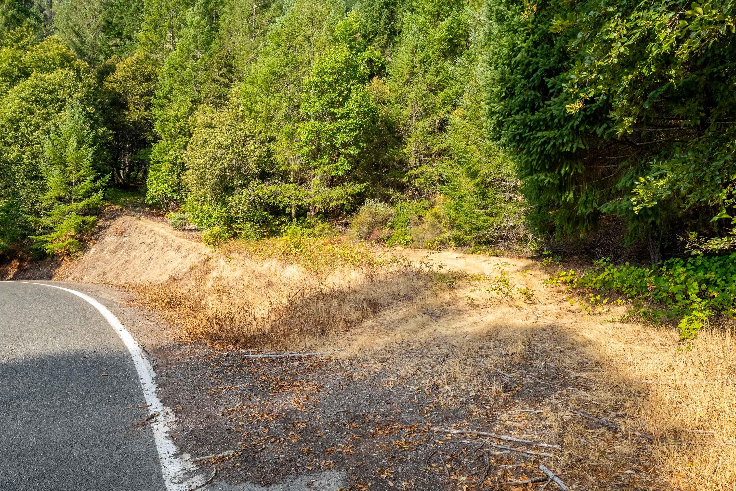 Looking for a place to build your dream getaway or launch a recreational business? This 36.99-acre parcel zoned forest commercial offers endless potential. Just 3.3 miles from the Lower Grave Creek Boat Ramp, 10.4 miles to the Galice Resort, and 3.5 miles from Grays Ranch Lookout, it's the perfect spot for outdoor adventure. Enjoy the peace and beauty of Southern Oregon's wild side with room to explore, develop, or just get away from it all. Power is nearby, and there may be a septic system on site—buyer to do their own due diligence.
