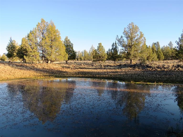 160 acres hunting property in prime Antelope Habitat close to Bly, Oregon. The property has a year round pond that supports Antelope and Mule Deer. The property qualifies the land owner for 2 LOP Antelope tags and 2 Mule Deer tags as well a 2 Elk tags. There is one major draw that has mostly Juniper and Pine trees. If you have dreamed of a good Antelope property this may be it.