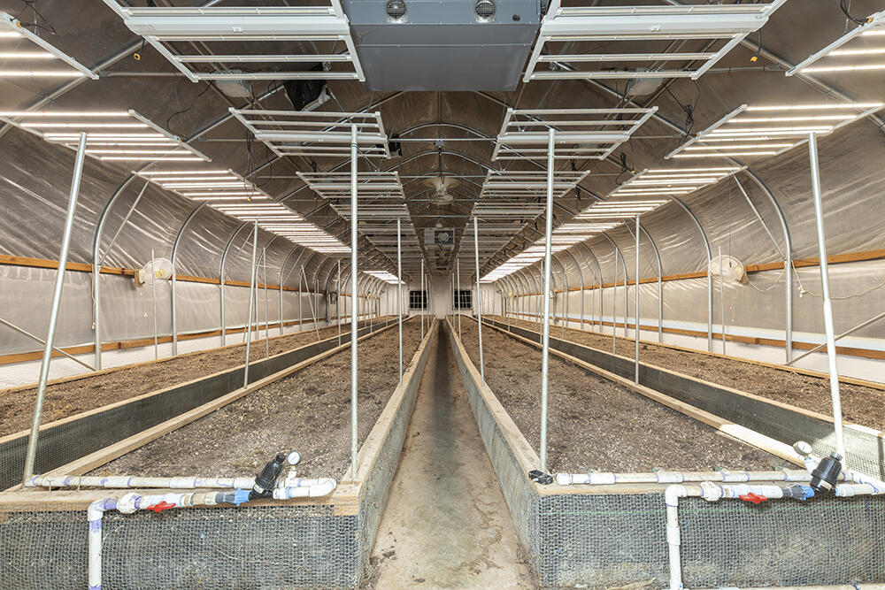 N/A - Farm