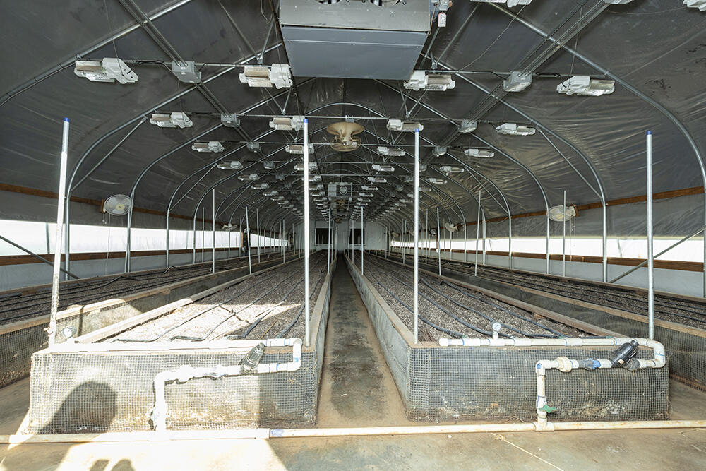 N/A - Farm