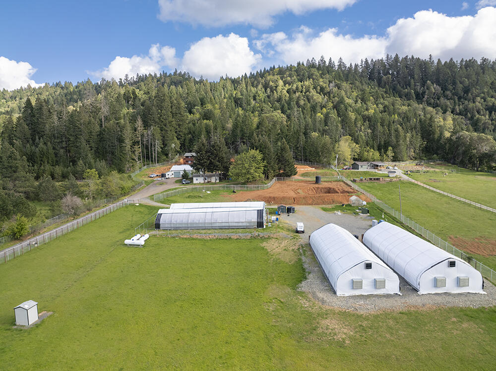 N/A - Farm