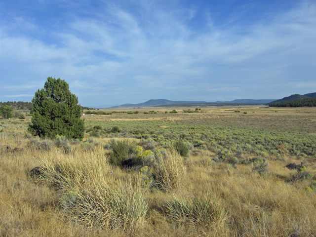 Nice 1.6 Acre Lot On Paved Drews Road With Power At The Road. Just A Stone's Throw From The River Too! Per Sellers The Lots Between This Lot And The Sprague River Are In A Flood Plain And Can't Be Built Upon As A Result. Price To Sell Fast!
