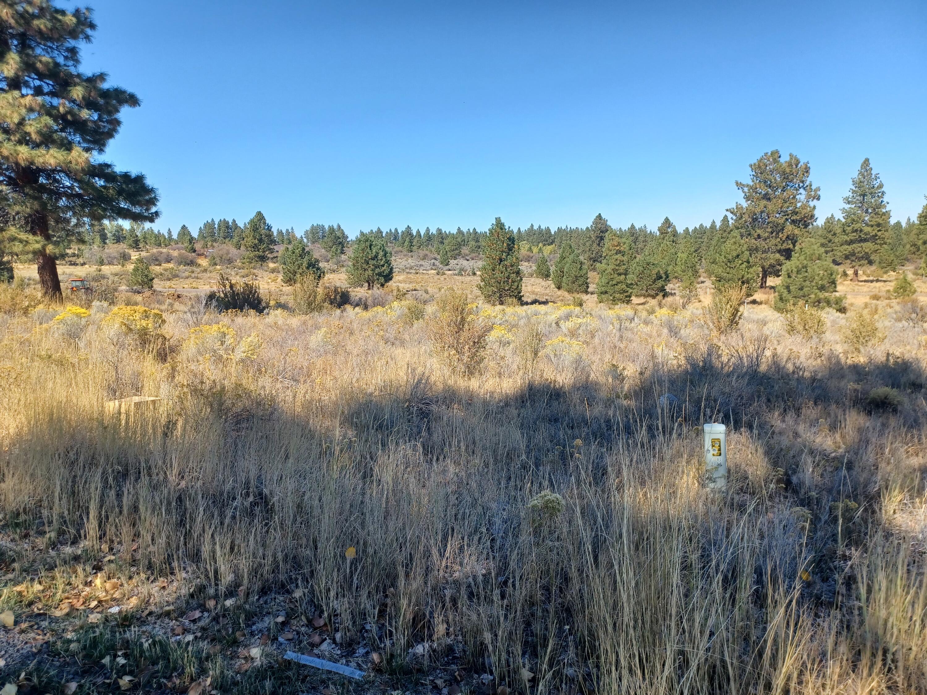 Oregon Shores - Land