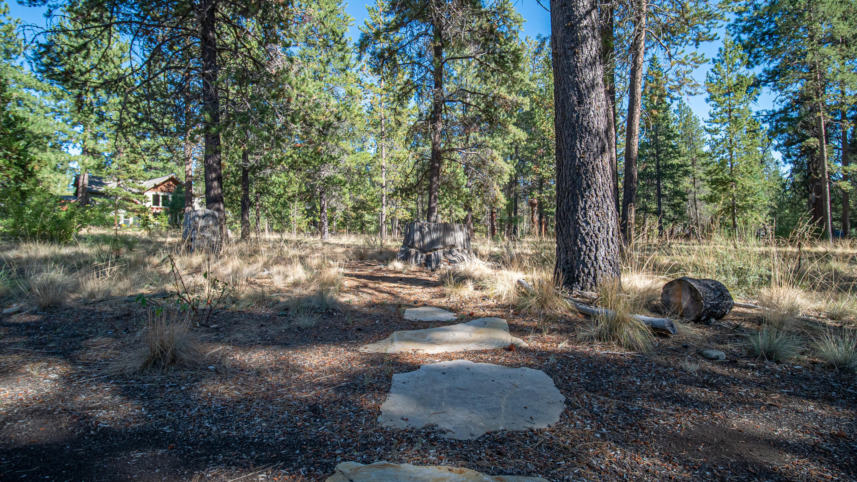 Caldera Springs - Residential