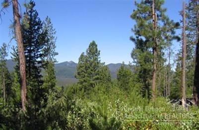Great Diamond Peaks Parcel with Awesome Mountain Views! Easy winter access as the roads are paved and plowed. Just minutes from both Crescent and Odell Lakes. Convenient access tot he Willamette Pass Ski Resort just up the road. Amazing recreation opportunities abound.