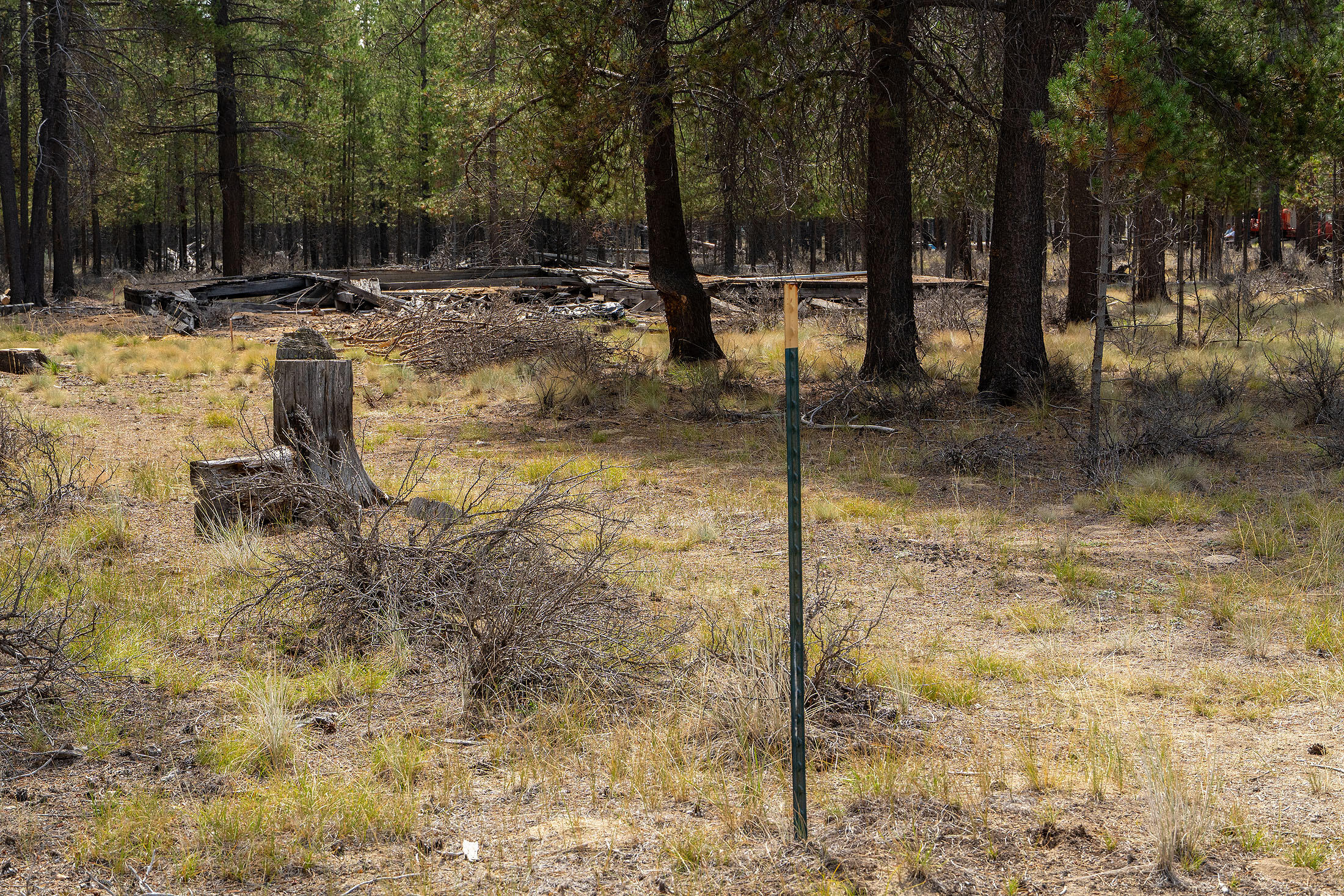 Perfect opportunity to purchase a vacant lot and build your Dream Home in the middle of the Central Oregon Outback! This property adjoins TL800 and you have the option of purchasing 1 for $70k or both for $140k and ensure some WIGGLE room on your property for more Privacy. This property is surrounded by beautiful forest land for you to enjoy the wildlife and the numerous outdoor activities offered here. Don't miss this one!