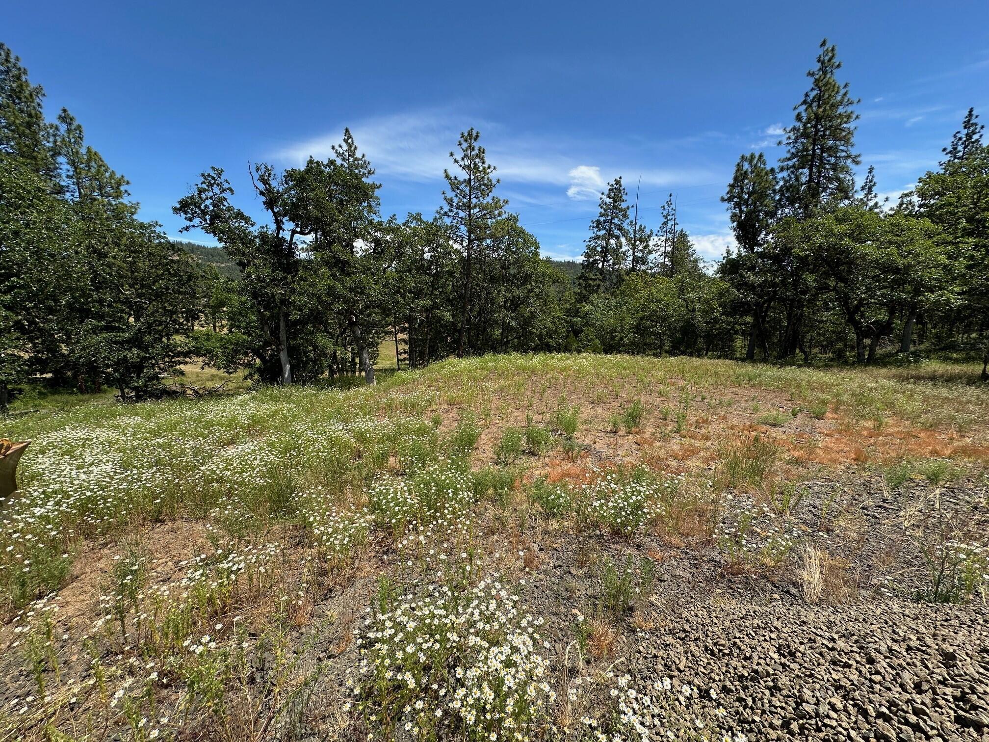 Spacious .56 acre lot with end of the road privacy, beautiful pine and oak trees, views, and located just minutes from the Rogue River. Public sewer and power are at the street; power is already on a temporary pole and ready for construction. This great location allows for stick built homes or place a manufactured home, either can be rolled into a home loan package. The lot has access to the HiLand Water line but additional hookups from HiLand are not currently available (they're in the process of securing additional water rights, then water will be available). There are strong producing wells in the area which may be a better alternative than HiLand. About as easy of a buildable lot as you will find in S. Oregon and it's located at the gateway to endless recreation: the Rogue River, Lost Creek and Diamond Lakes, hiking, boating and just about every outdoor activity you can dream of!