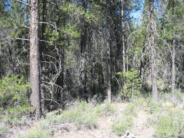 Heavily Wooded Property, Not Far Of Hwy 97. Where Agent Has Put The Sign Is Only A Guesstimate As To Where The Front Of The Property Is?front Of Property Is Only 30 Feet?buyer To Perform Their Own Due Diligence...Please.